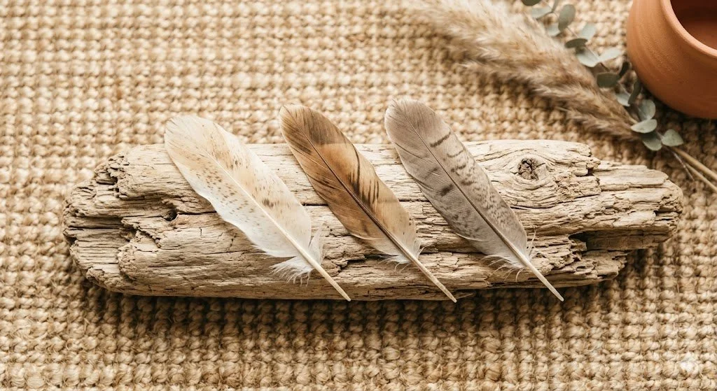 Eine Anordnung von drei verschiedenen Vogelfedern auf einem Stück Treibholz, rustikale Boho-Stimmung.