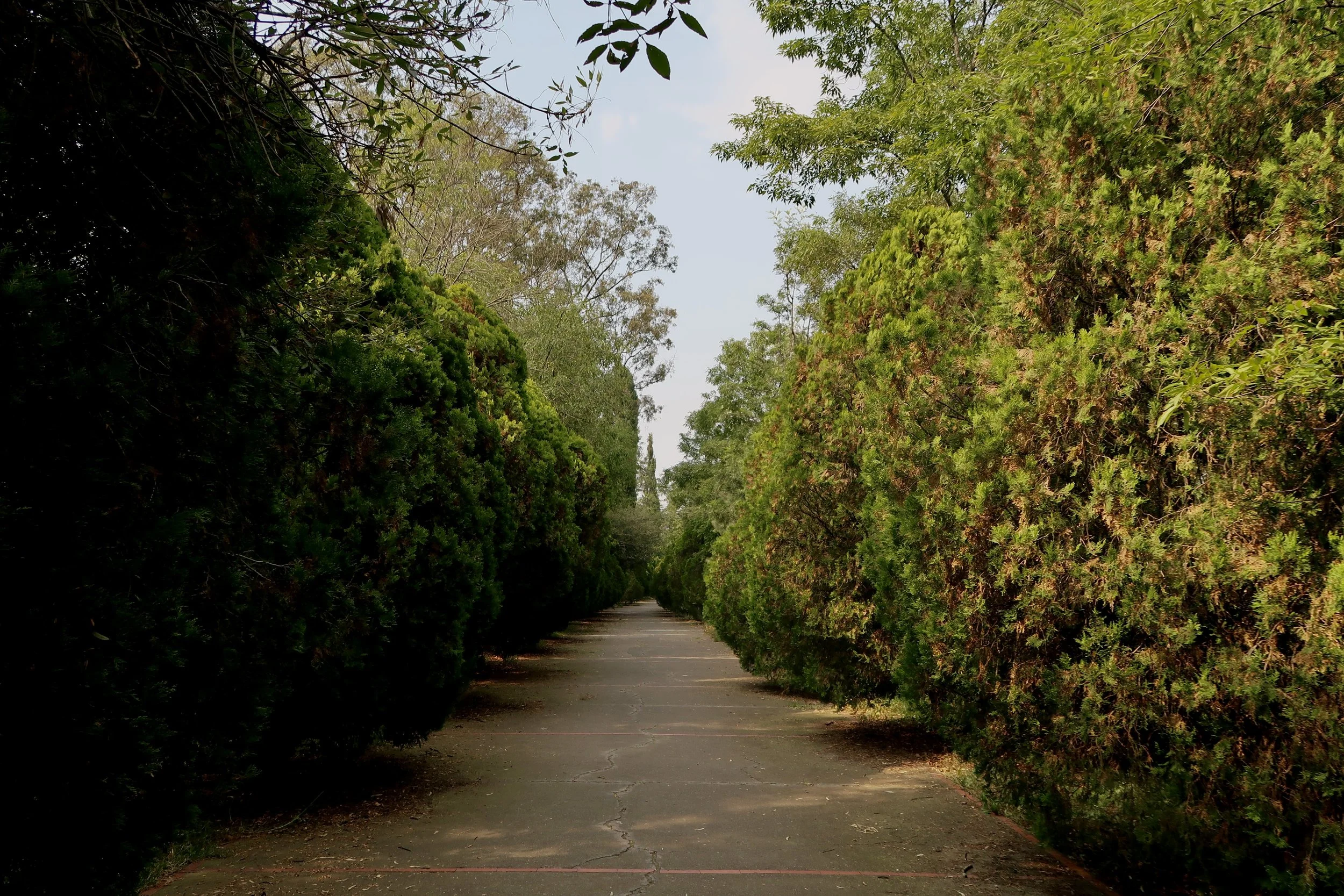 Mexico City, Mexico (2024)