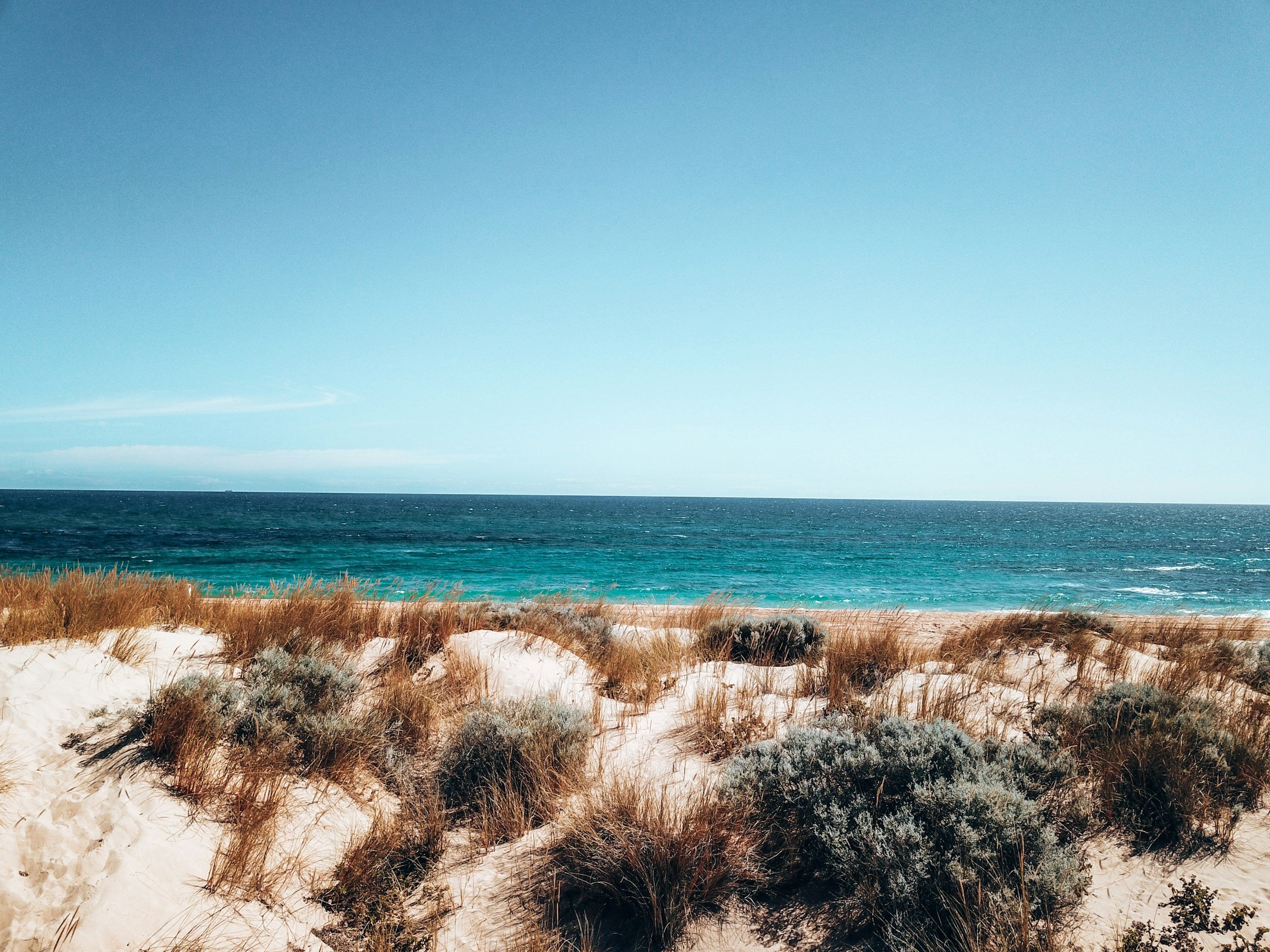 A sandy beach with dunes and dry grass, facing the ocean under a clear blue sky.