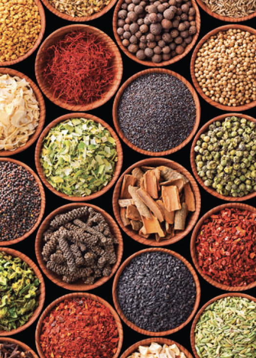 Screenshot 2026-01-05 at 4.00.34 PM.png