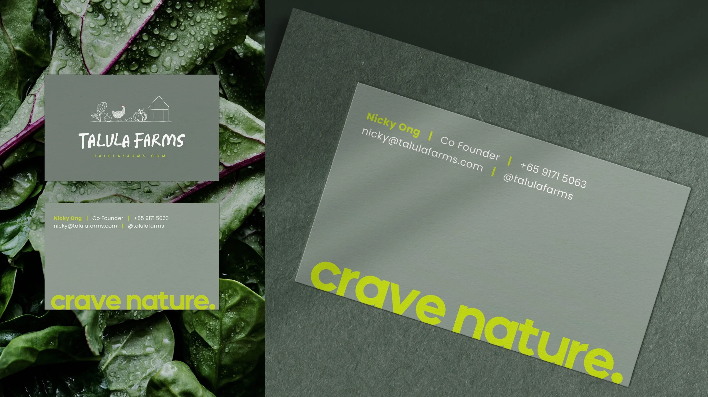 Screenshot 2025-12-12 at 5.46.16 PM.jpg