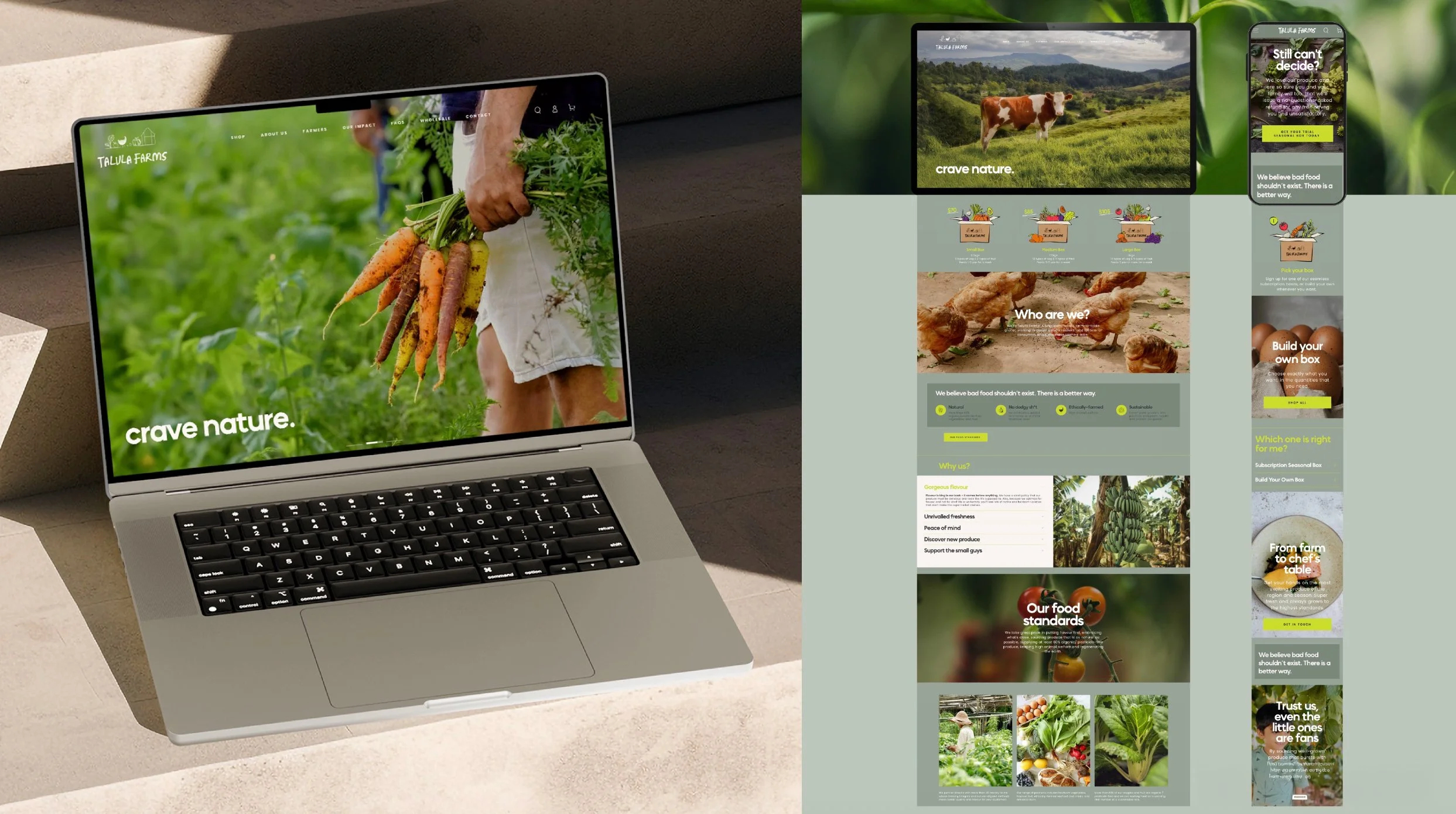 Screenshot 2025-12-12 at 5.45.31 PM.jpg