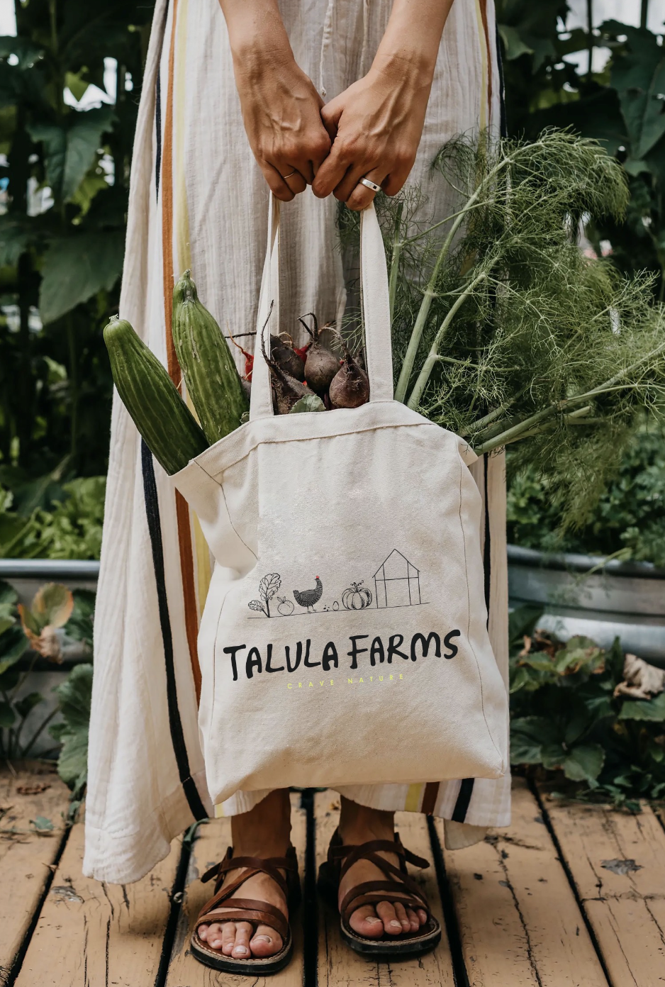 Screenshot 2025-12-12 at 5.46.07 PM.png