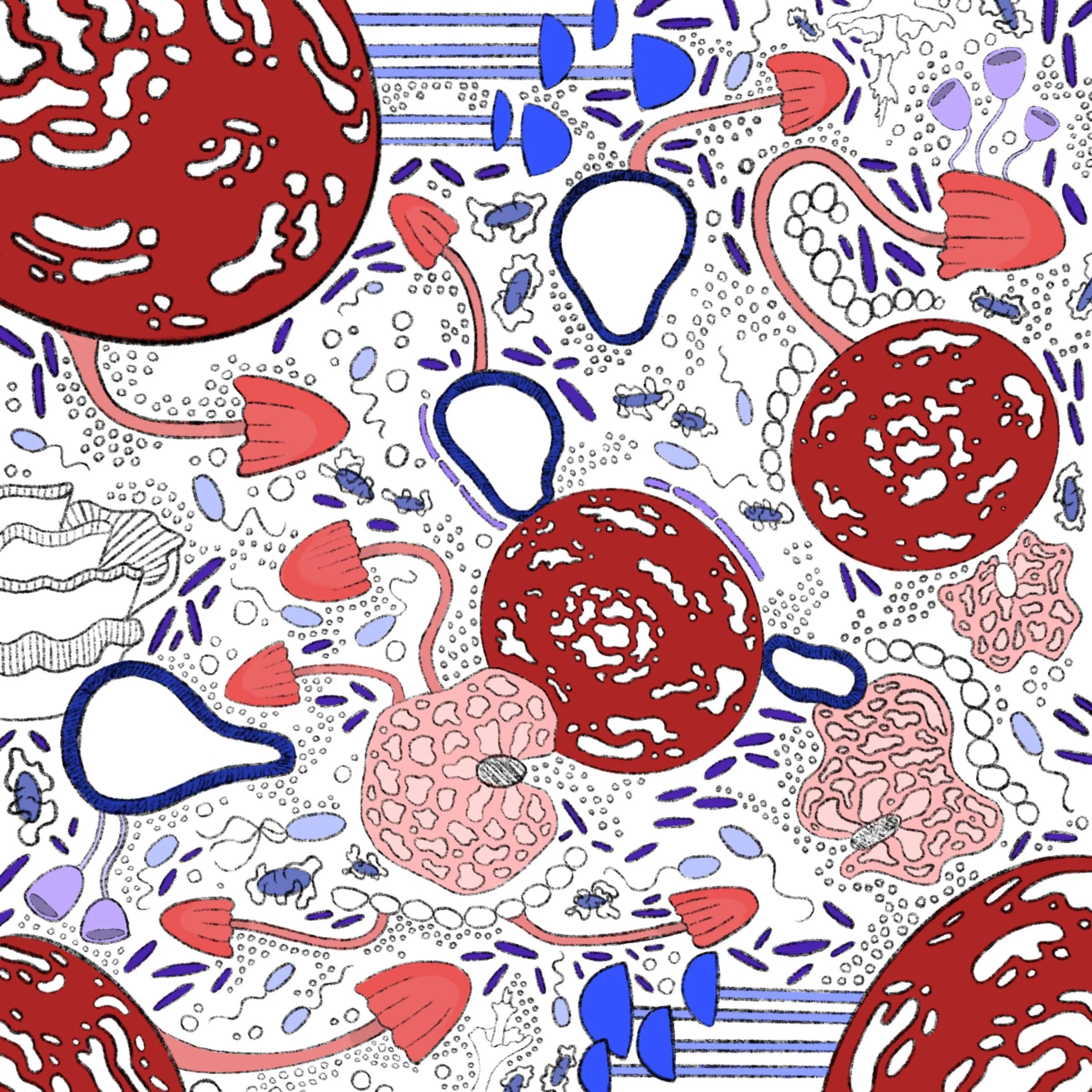 shroomcolor.jpeg