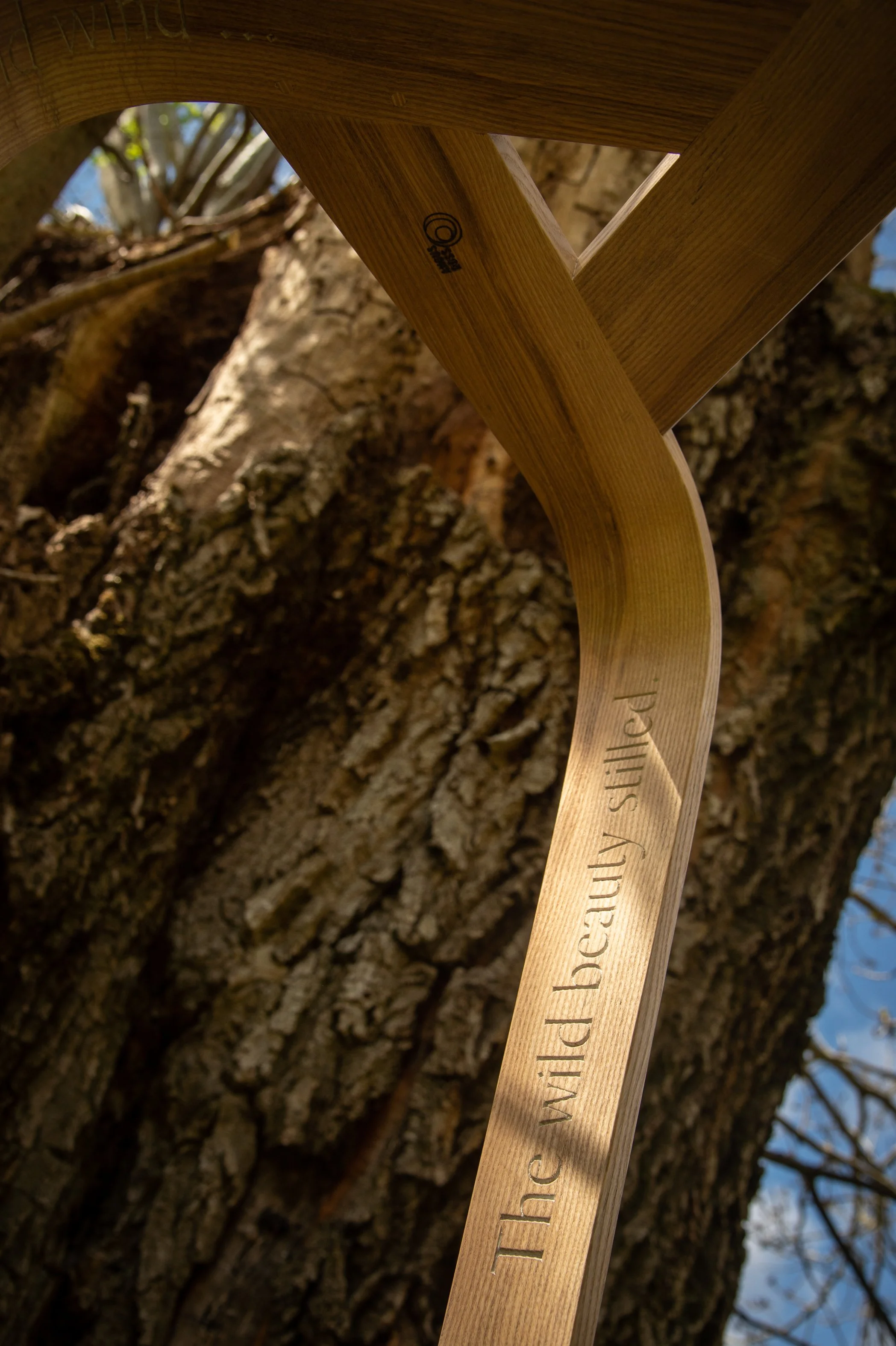 Close-up view of a wooden stool with an engraved line of Jon Plunkett poetry located against the trunk of a tree, with branches and sky visible in the background.