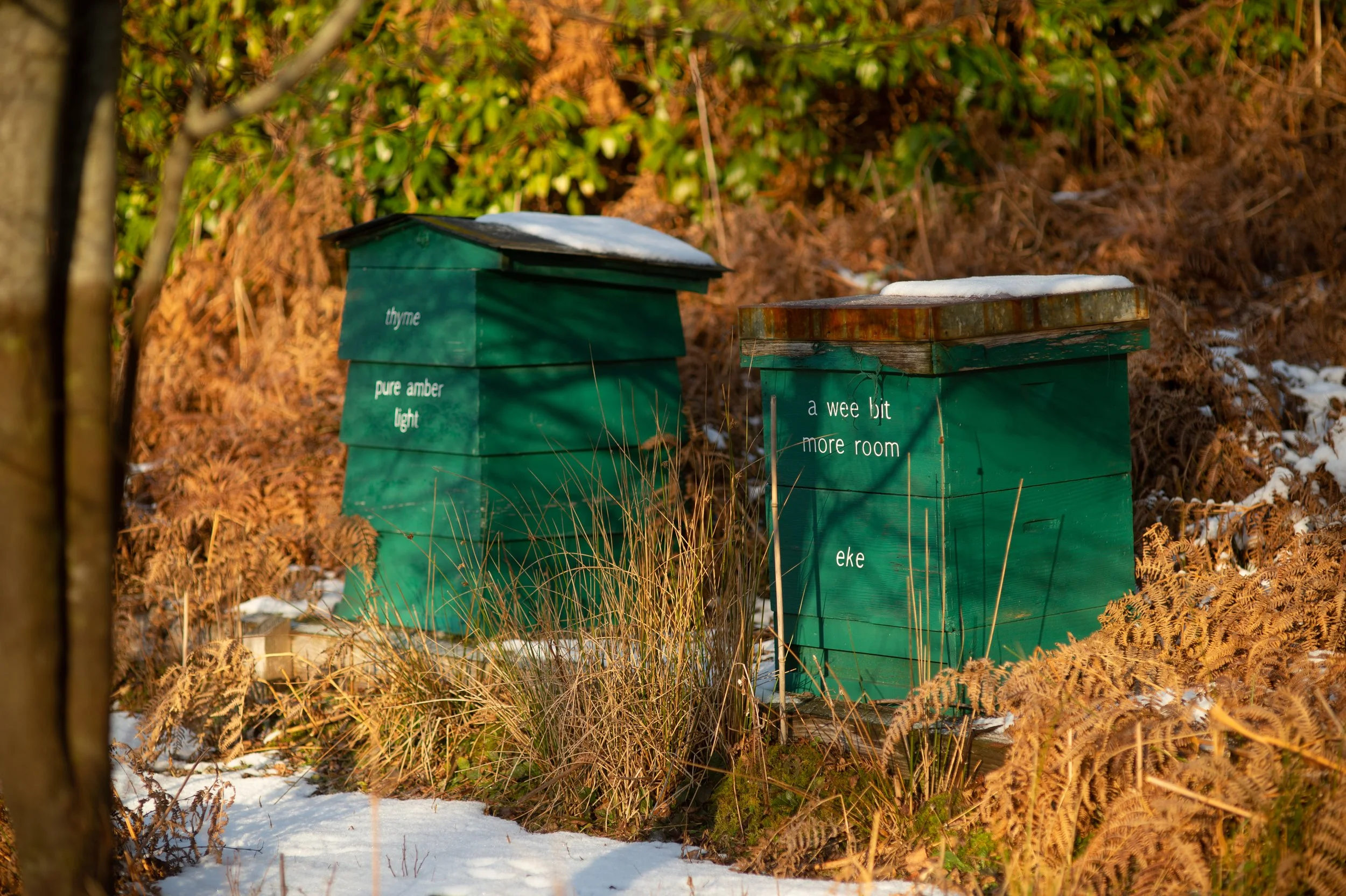 Two green beehives with words by Alec Finlay. Features on the Corbenic Poetry Path founded by Jon Plunkett