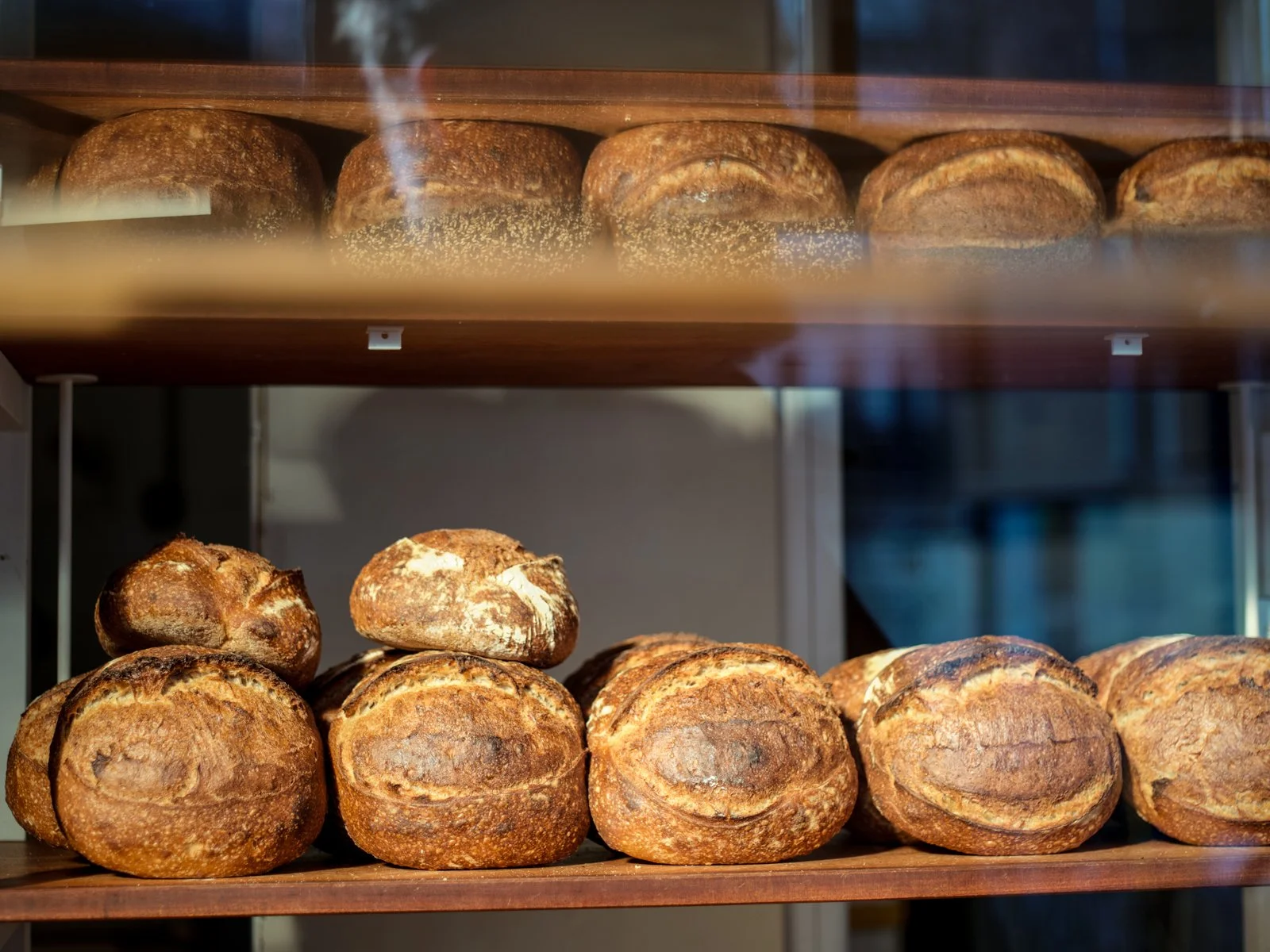 Various loaves of freshly baked bread displayed on shelves in a bakery.