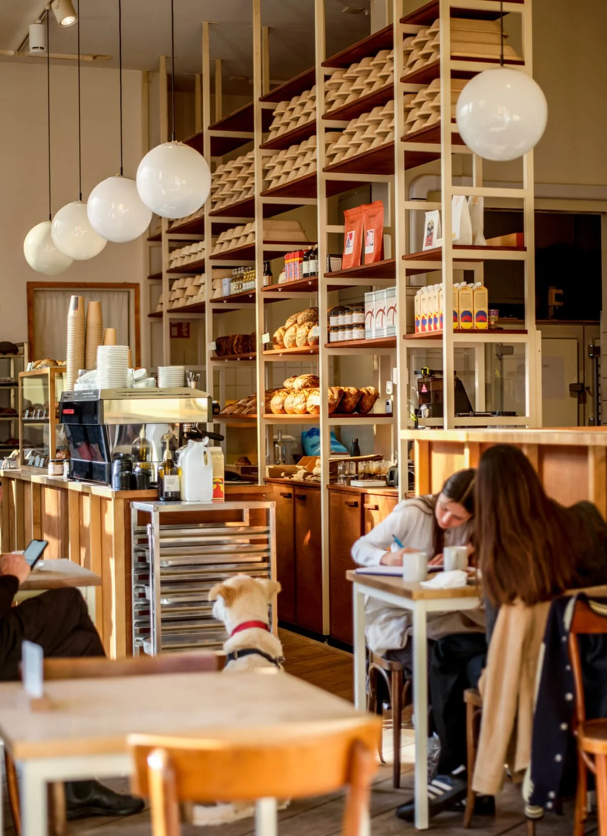 Inside a cozy coffee shop with wooden shelves filled with baked goods, coffee supplies, and packaged products. There are hanging white spherical lights, people sitting at tables, and a dog sitting on the floor near a woman writing in a notebook.