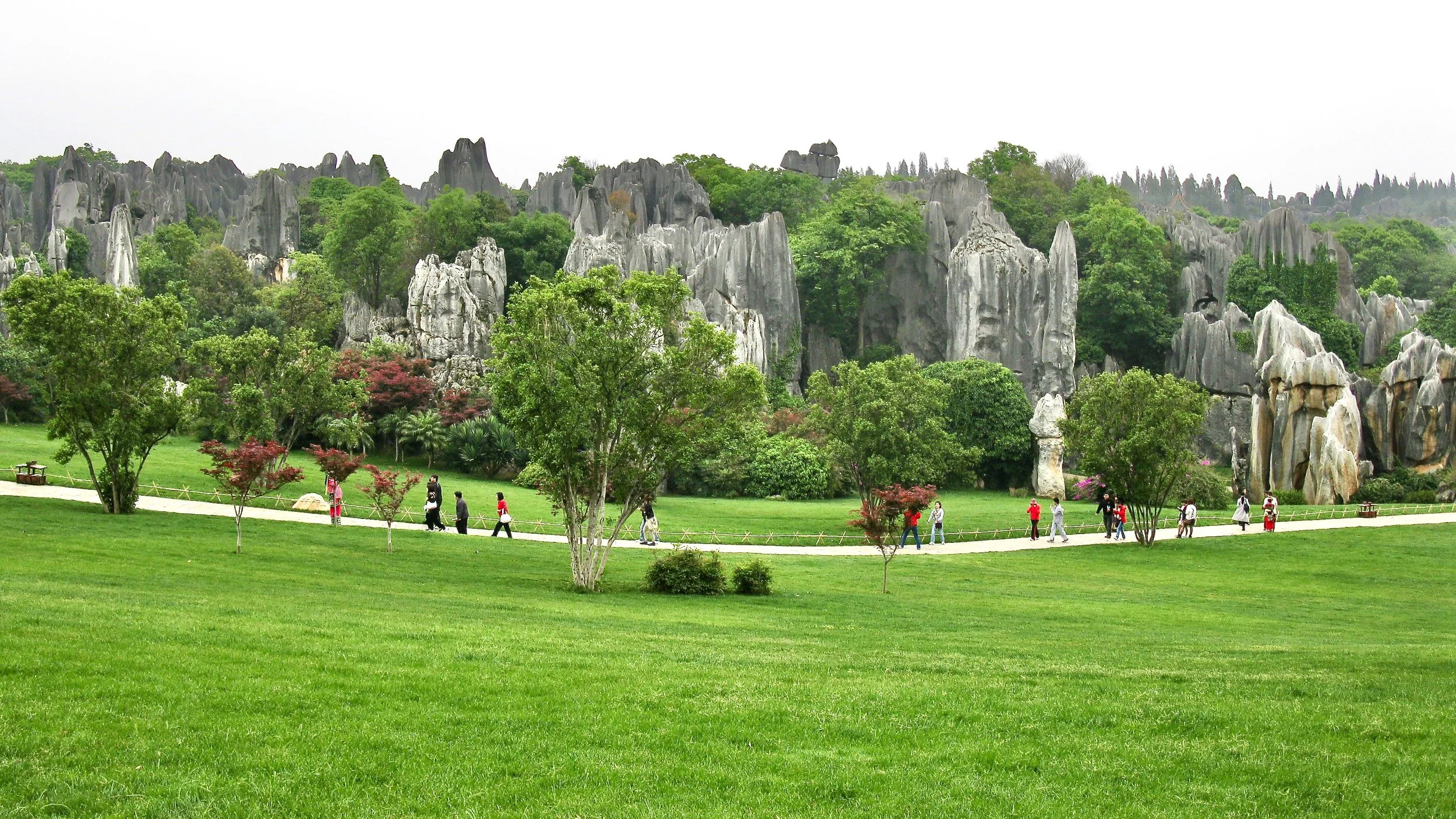 The Stone Forest