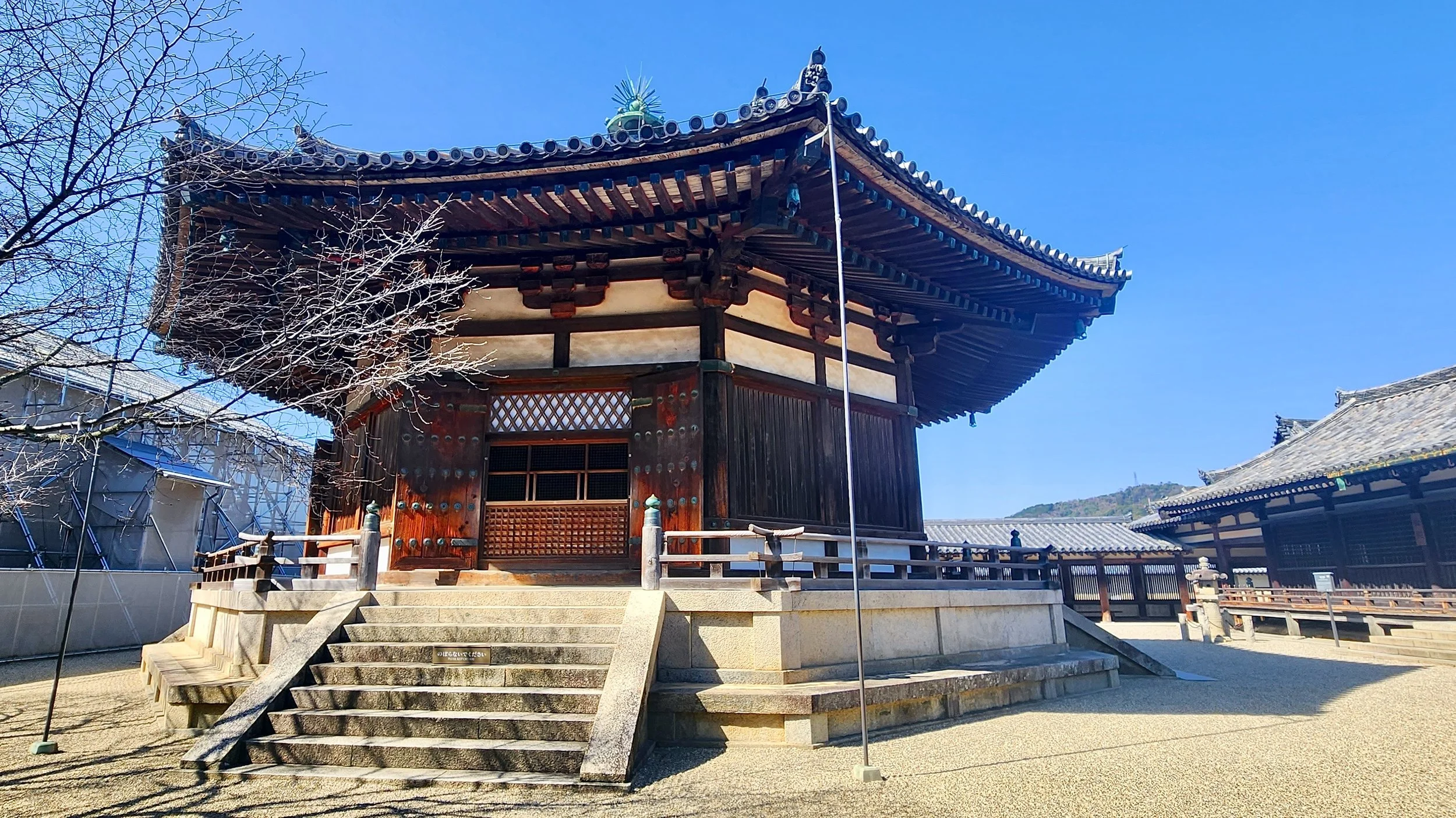 Hall of Dreams and Chugu-ji