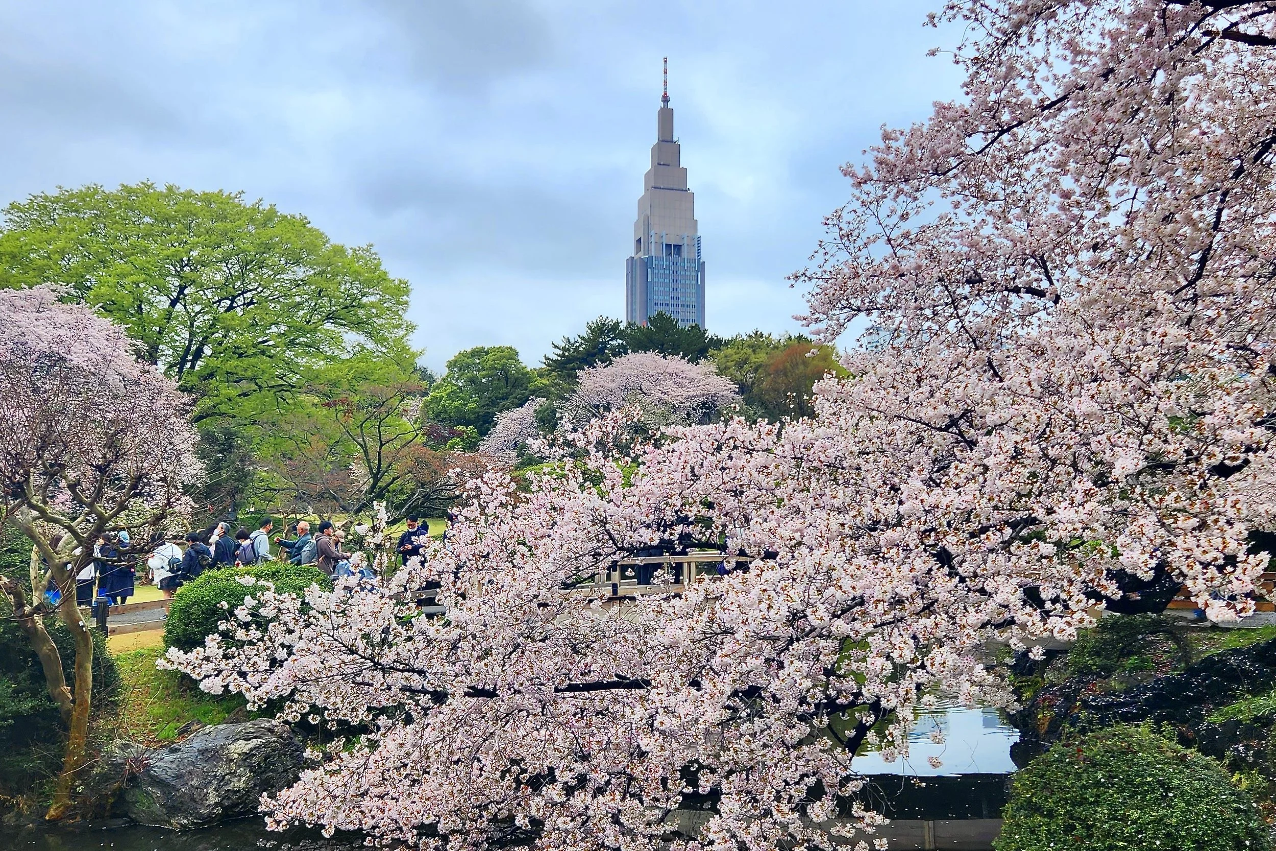 Shinjuku Gyoen