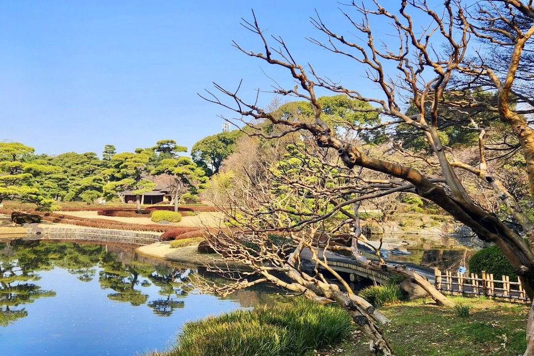 Tokyo's Imperial Palace 