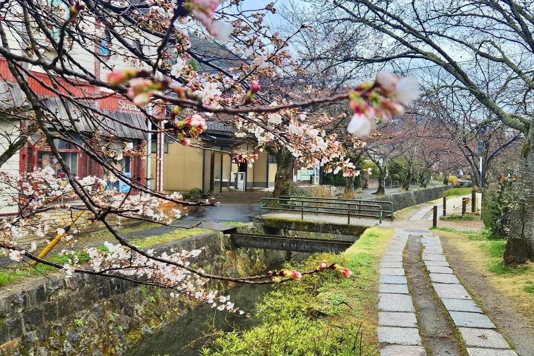 The Philosopher's Path