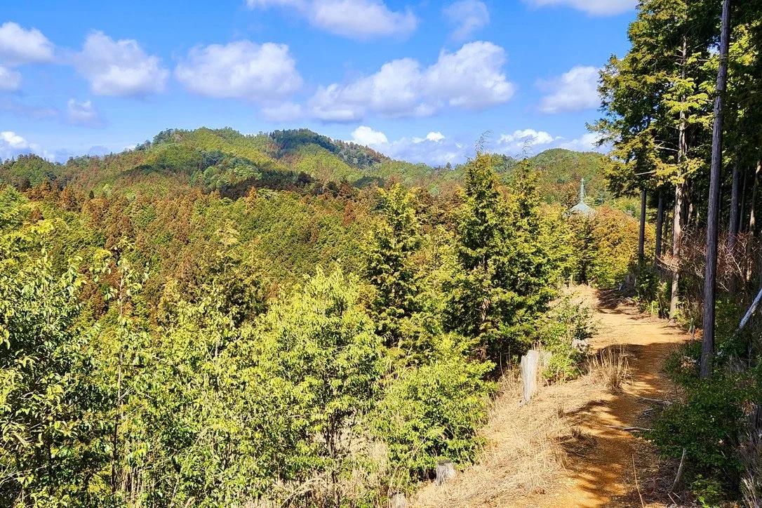 Hiking Koyasan's Sacred Trails 