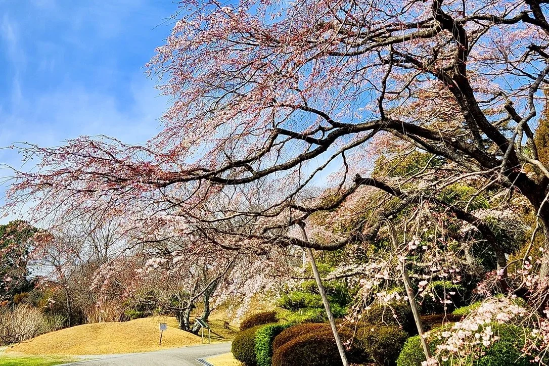 Handayama Botanical Garden