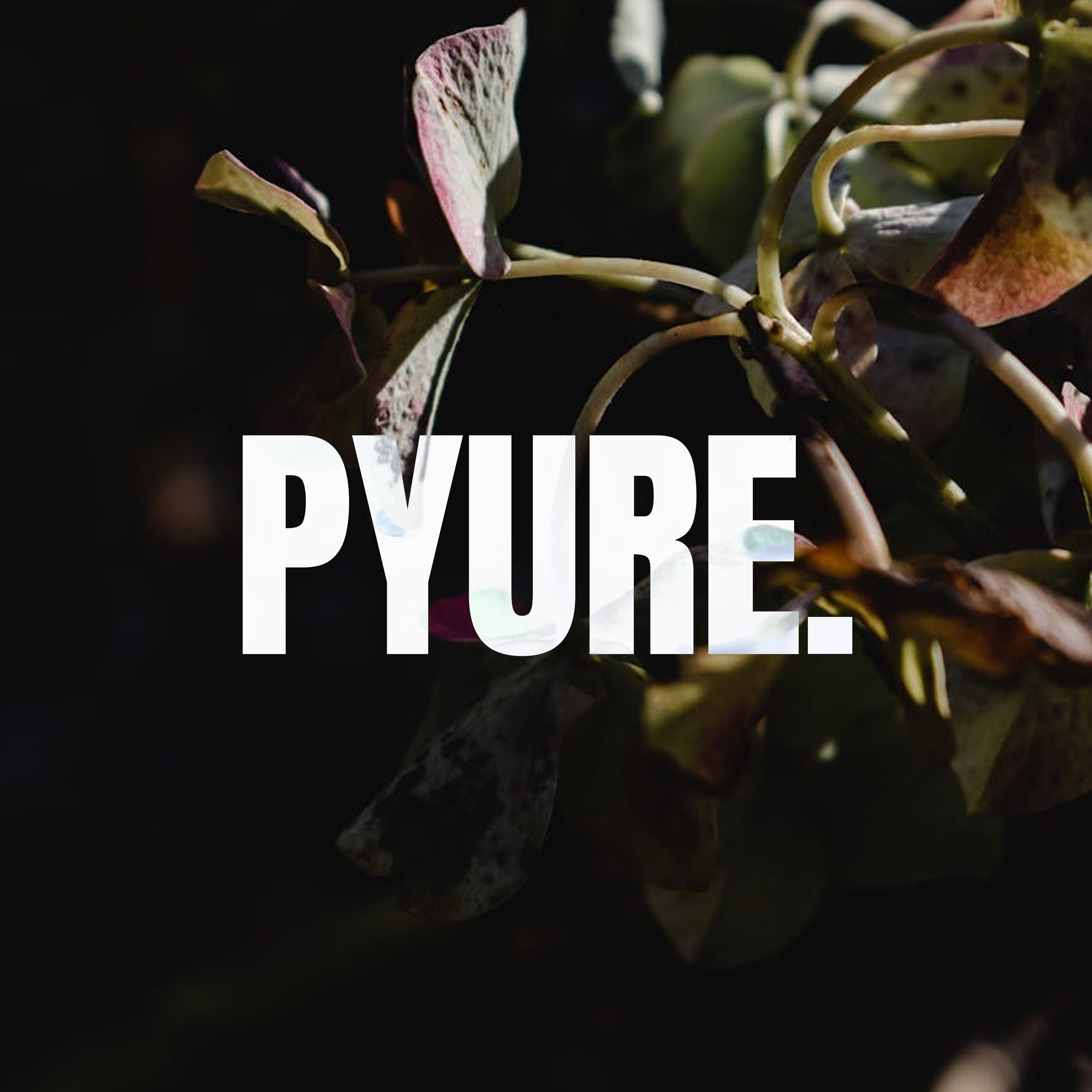 PYRURE 6.jpg