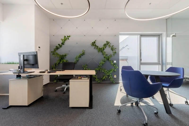 Modern office with a desk, computer, and black chair, green wall accents, blue chairs around a table, and a glass door letting in natural light.