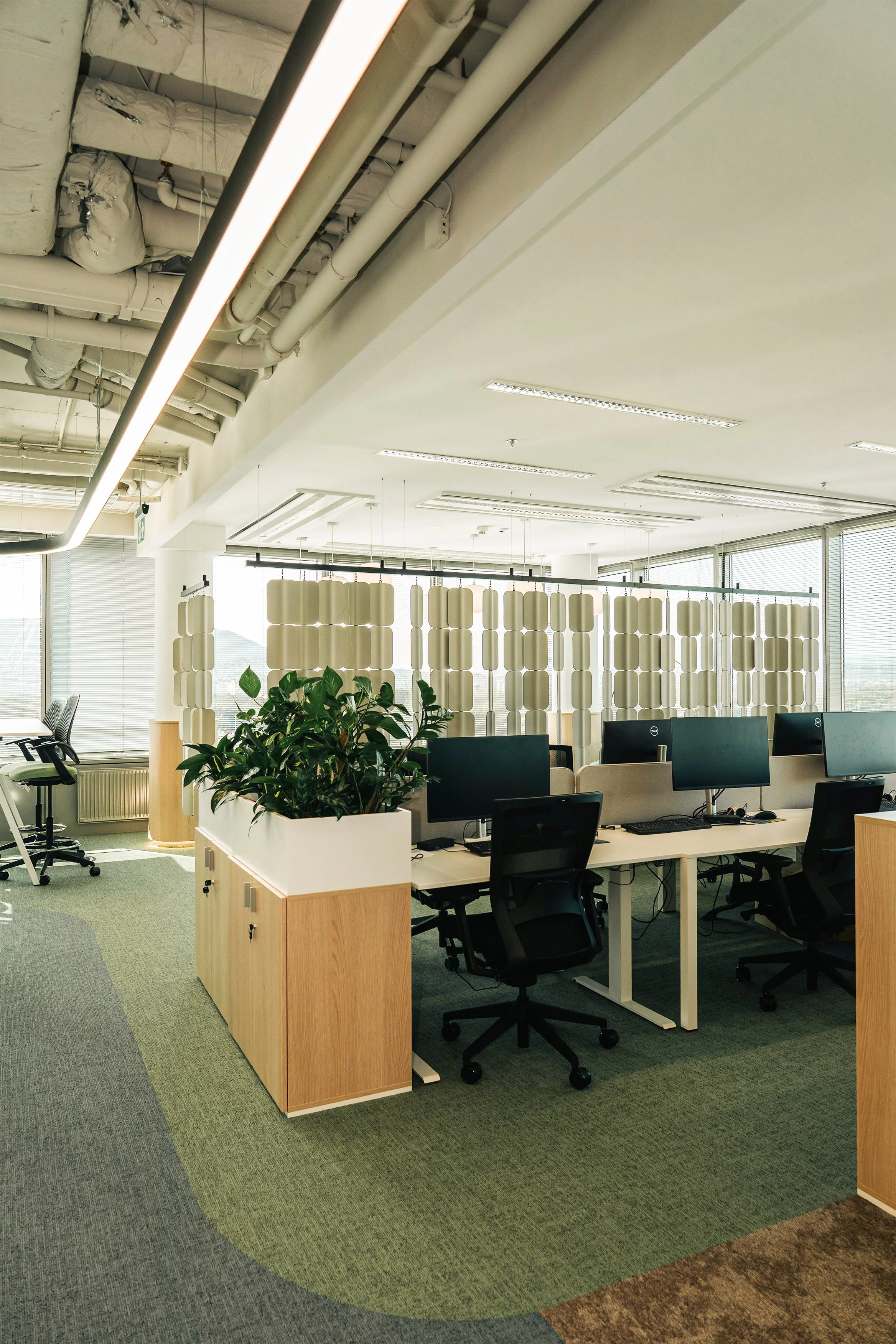 Office workspace with desks, chairs, computer monitors, a large green plant, and modern decorative room dividers, with large windows and natural light.