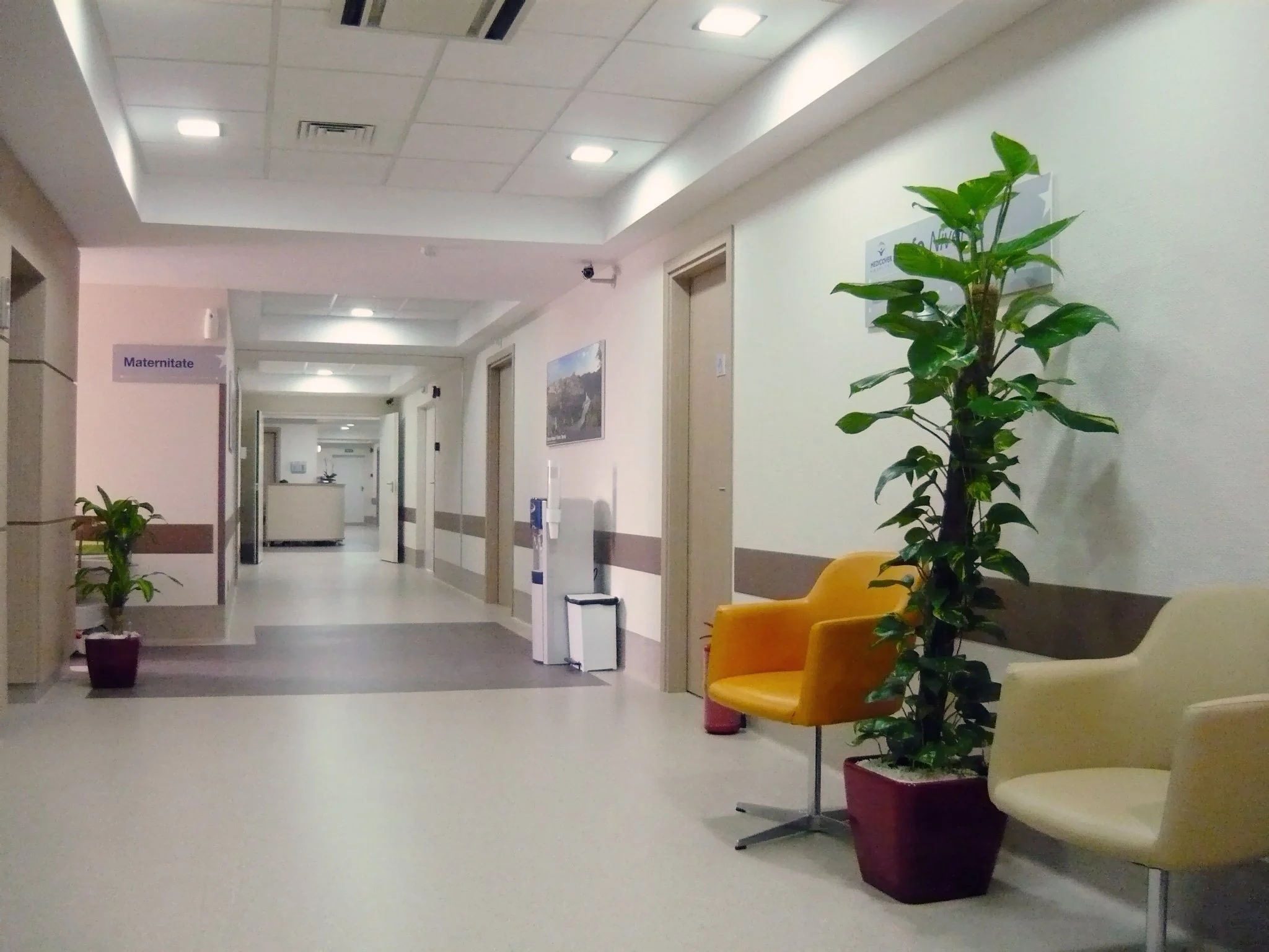 Hospital corridor with potted plants, chairs, and a sign indicating the maternity ward.