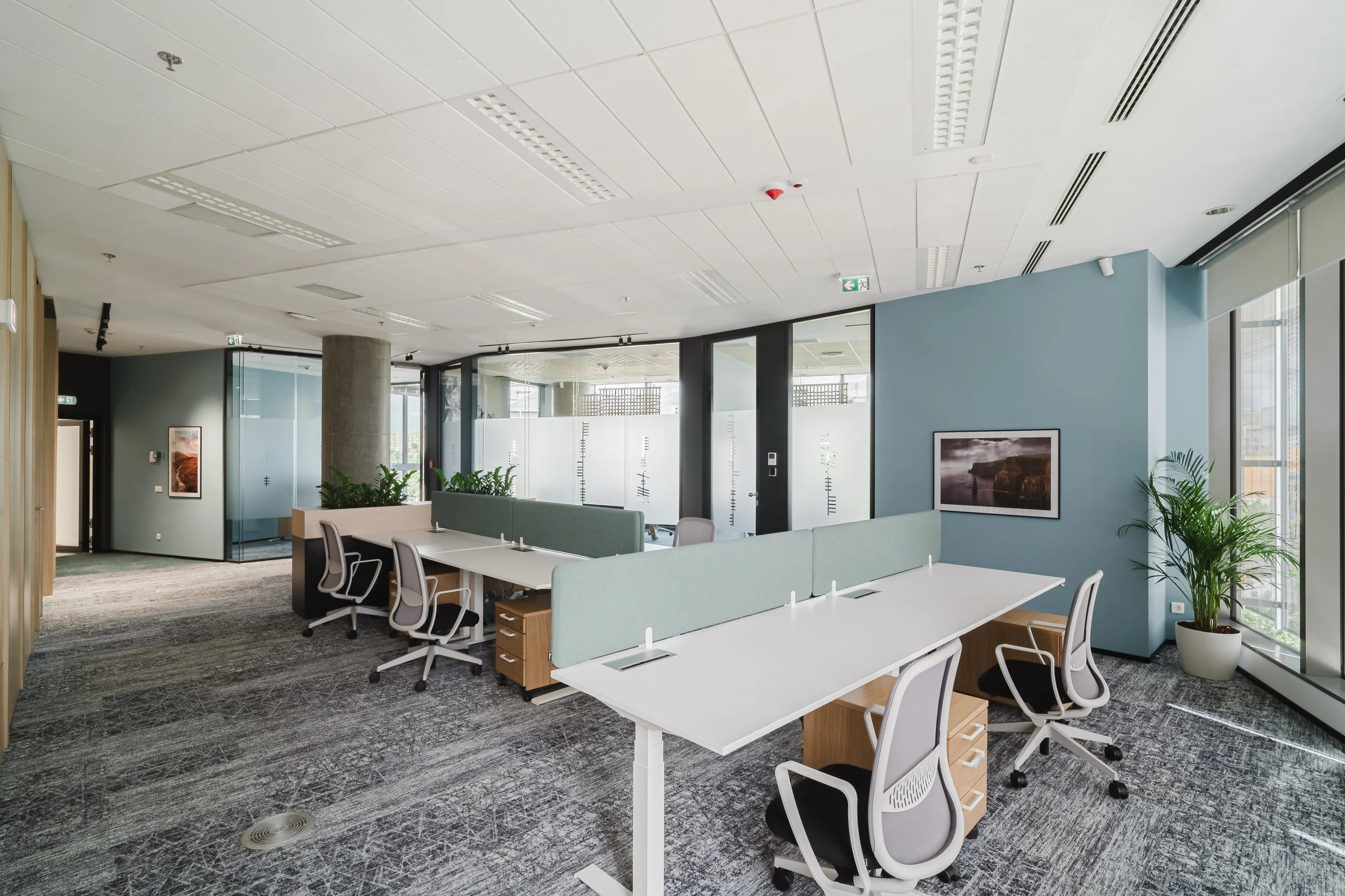 Modern office space with white desks, ergonomic chairs, large windows with plant decorations, and framed artwork on blue walls.