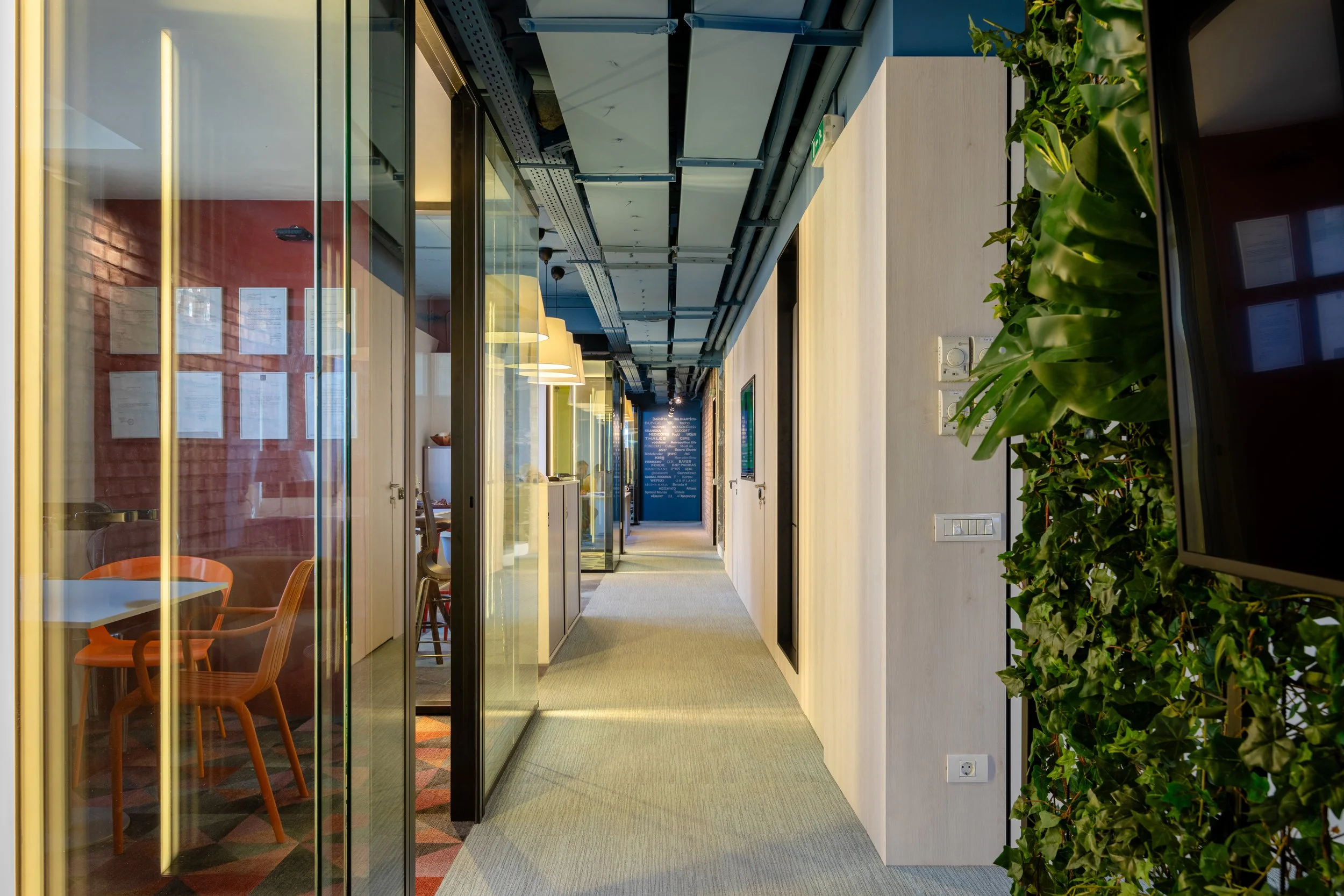 Modern office corridor with glass-walled meeting rooms on the left, a wall with lush green plants on the right, and a blue accent wall at the end of the corridor.