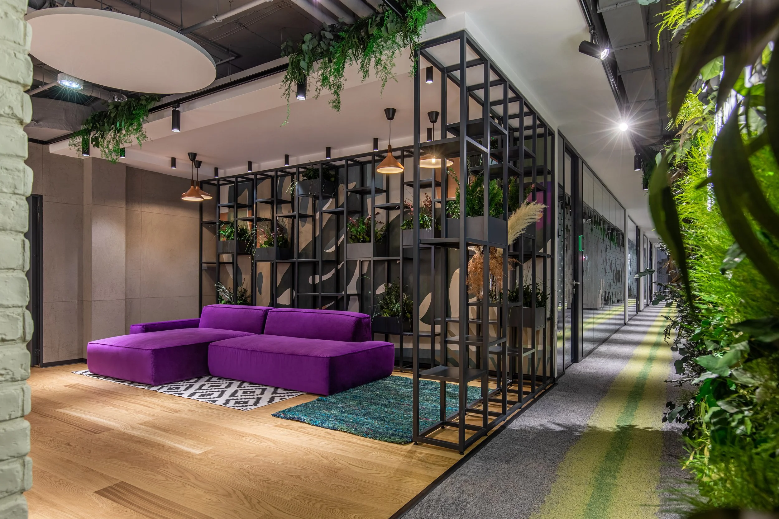 Modern office lounge area with a purple sectional sofa on a black and white patterned rug, decorative shelving with plants, patterned carpet for the hallway, and lush greenery along the corridor.