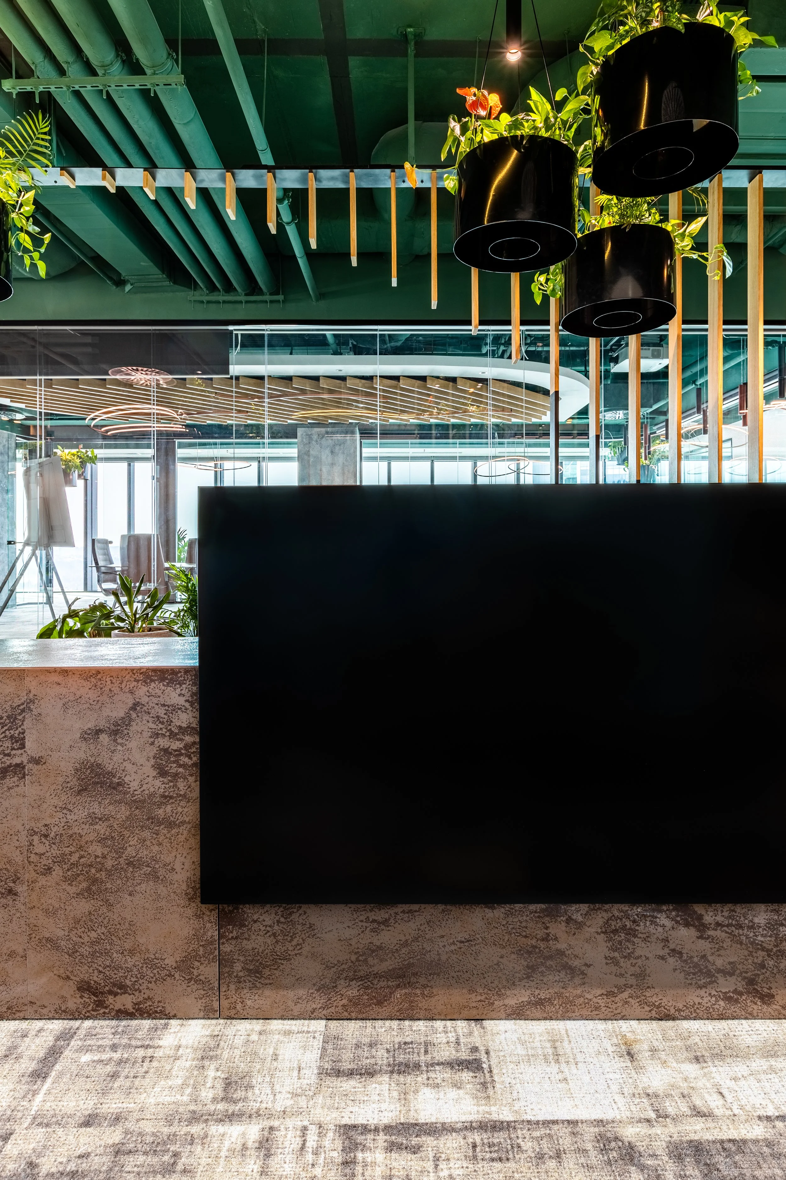 Modern office interior with green ceiling, hanging black planters with green plants, and a black partition with textured stone finish, overlooking a bright space with large windows and stylish lighting fixtures.