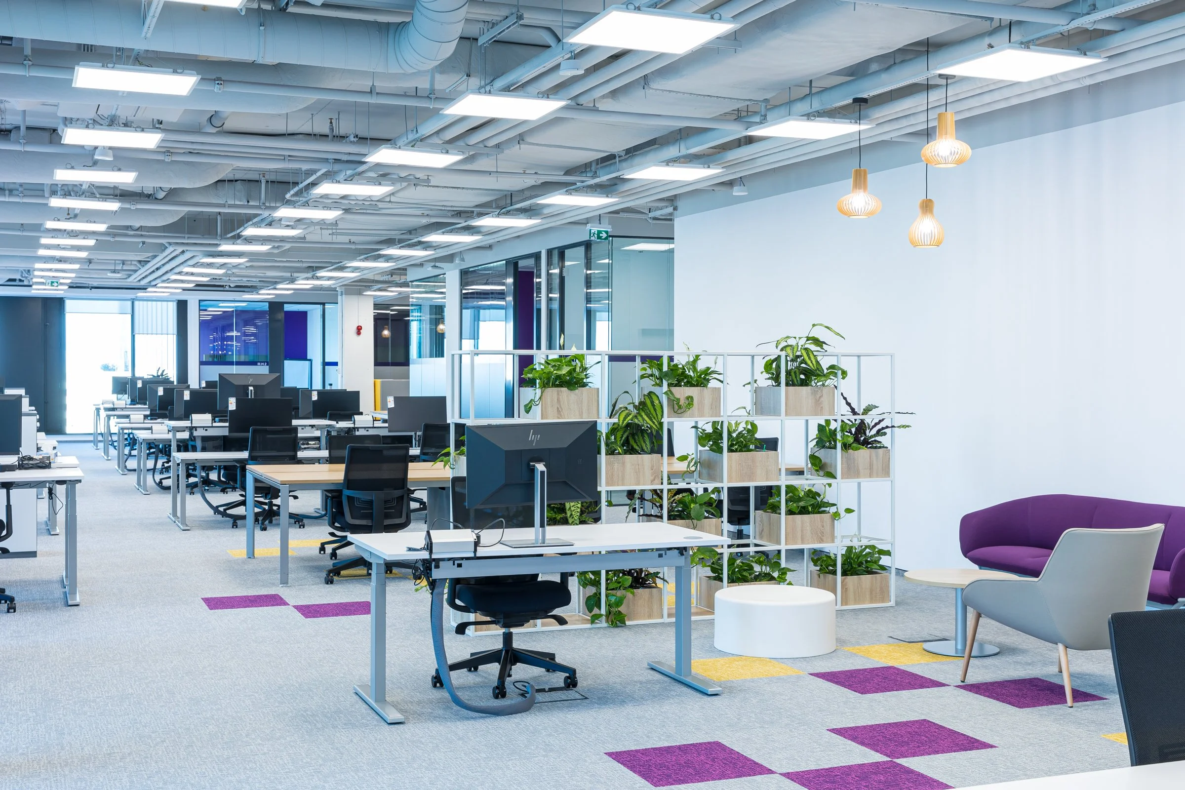 Modern office space with desks, chairs, computer monitors, a purple sofa, a white armchair, a small round table, a white cylindrical ottoman, and a beige and yellow patterned carpet. There are plants on a white shelving unit, ceiling lights, and large windows.