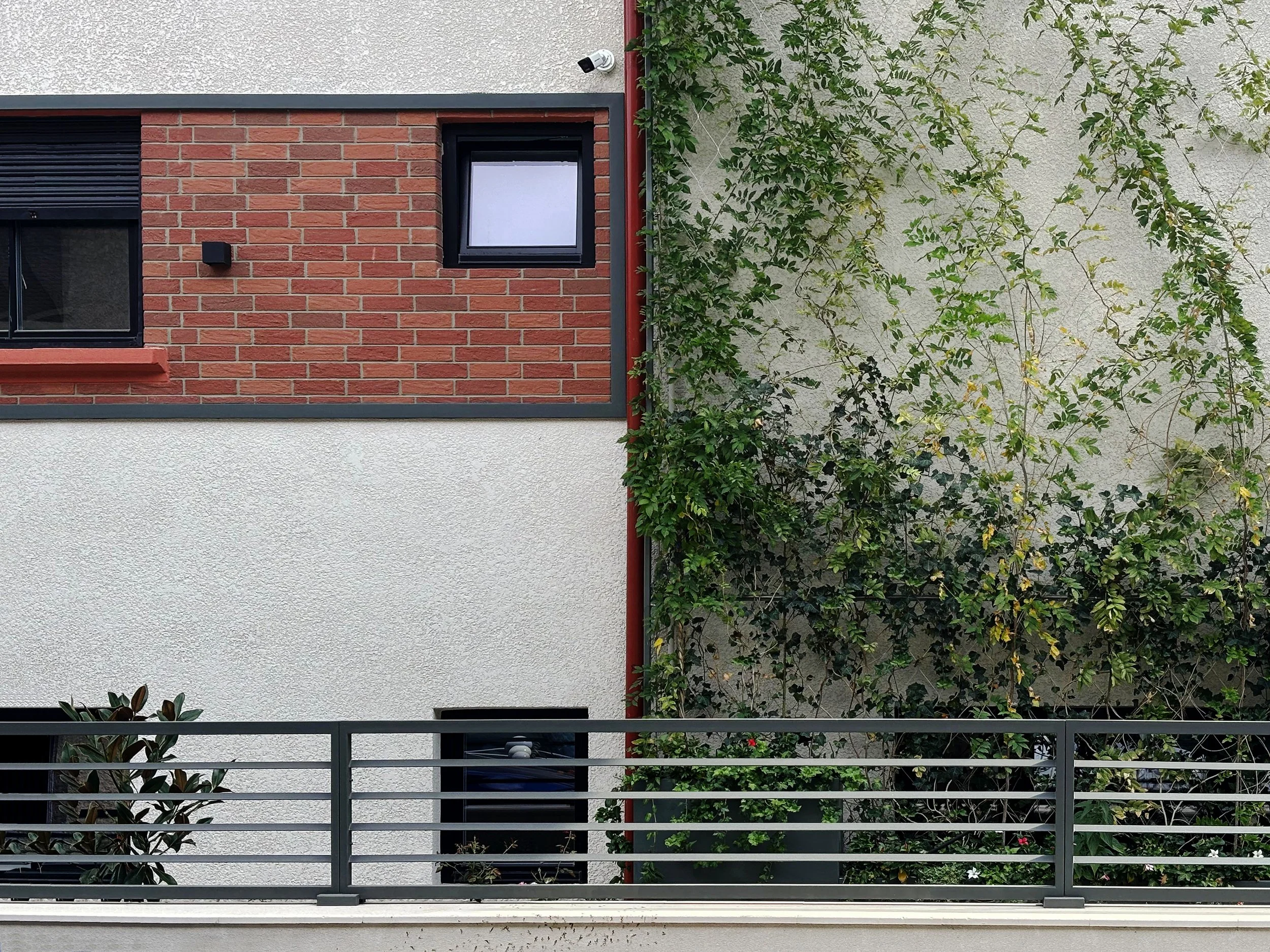 Modern residential building with white and red brick exterior wall, small windows, a fence, and greenery including climbing vines and potted plants.