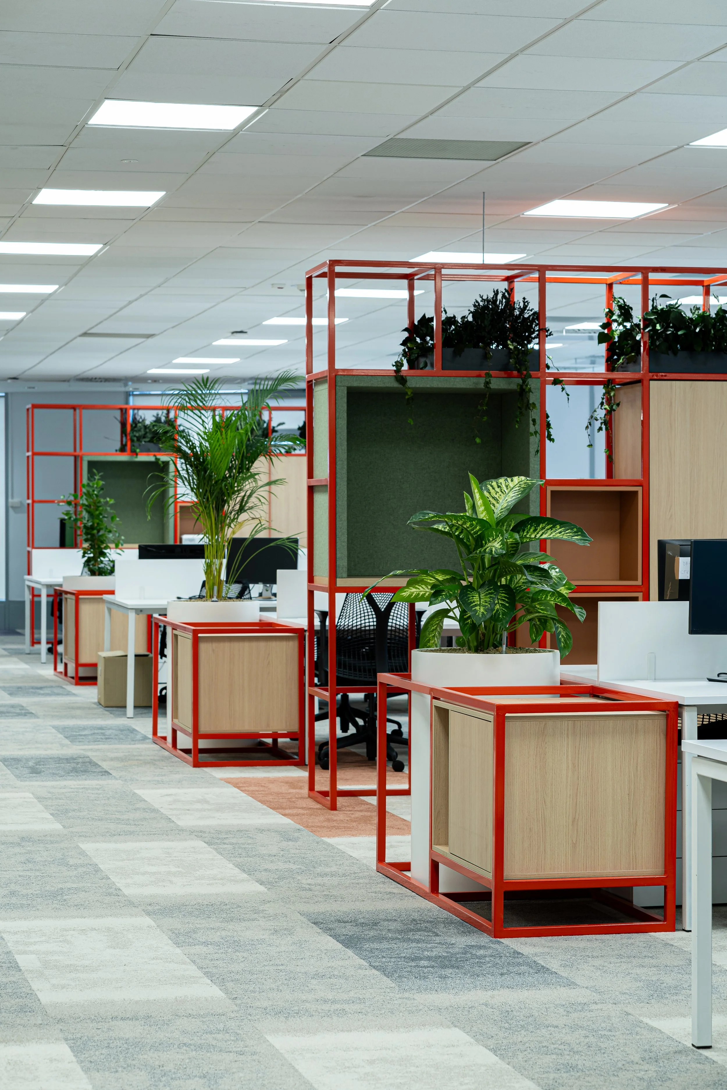 Modern office with plants, cubicle workstations, and red metal grid partitions