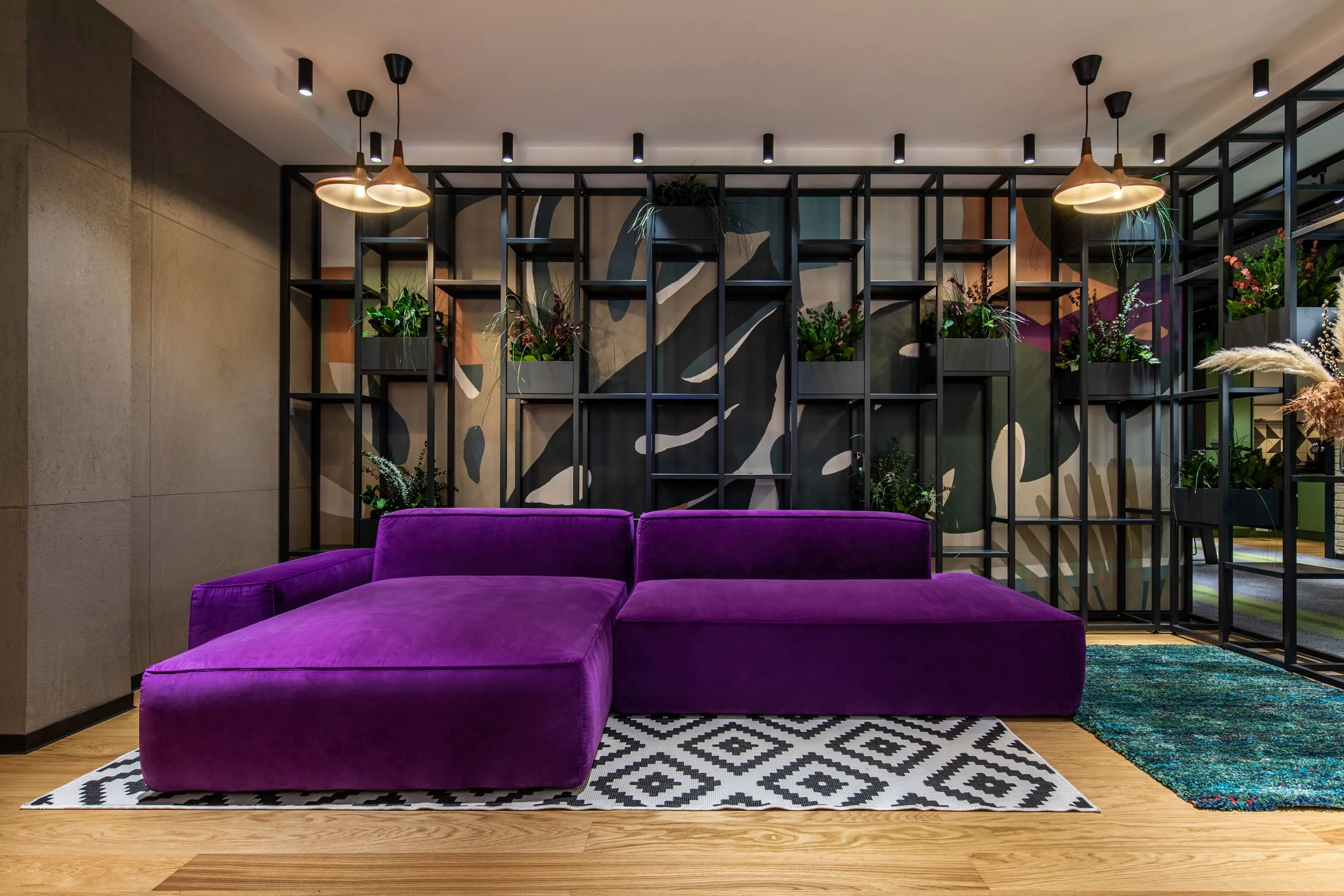 Modern living room with a purple sectional sofa, patterned black and white rug, and a black metal shelving unit with potted plants on the wall.