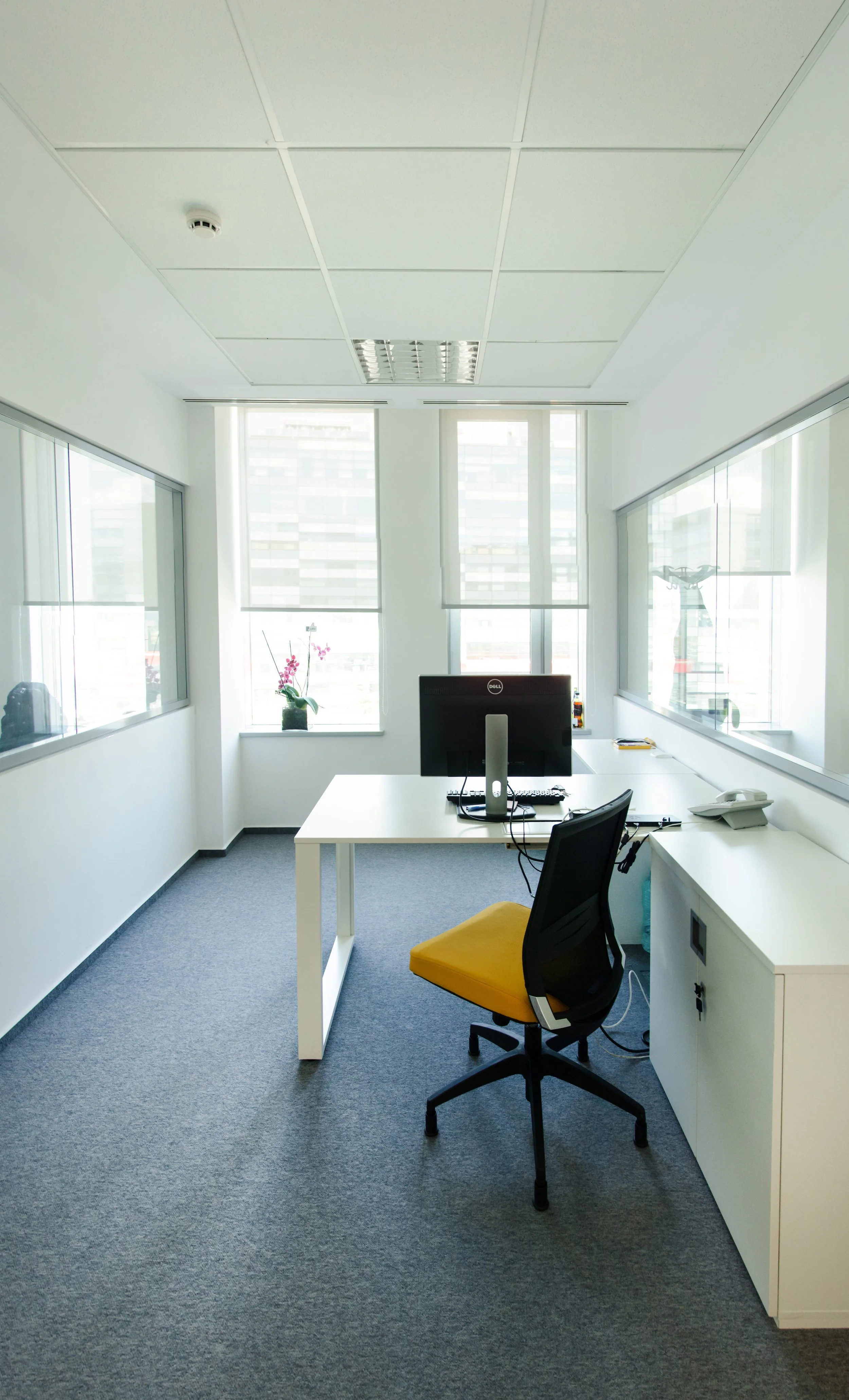 An empty office with a white desk, yellow chair, computer monitor, and telephone, illuminated by natural light from large windows, with a orchid plant on the windowsill.