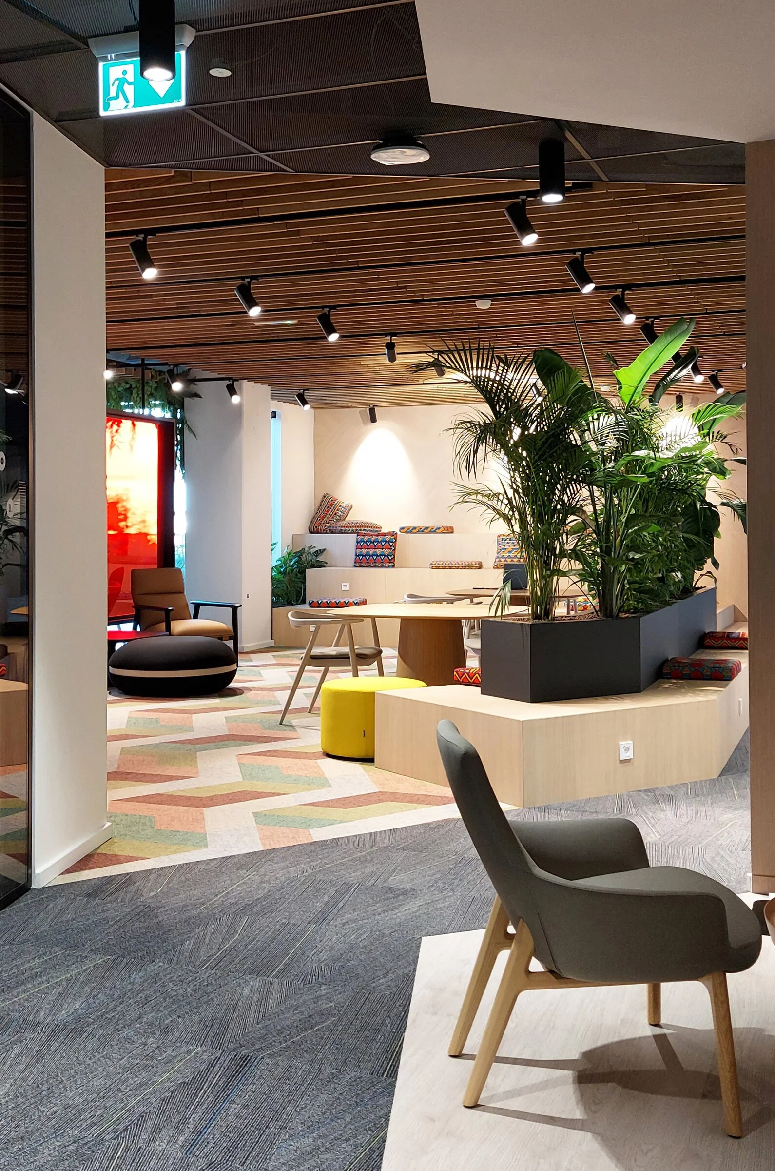 Modern and stylish office lounge area with a variety of seating options, large green plants, and a ceiling with wooden slats and track lighting.