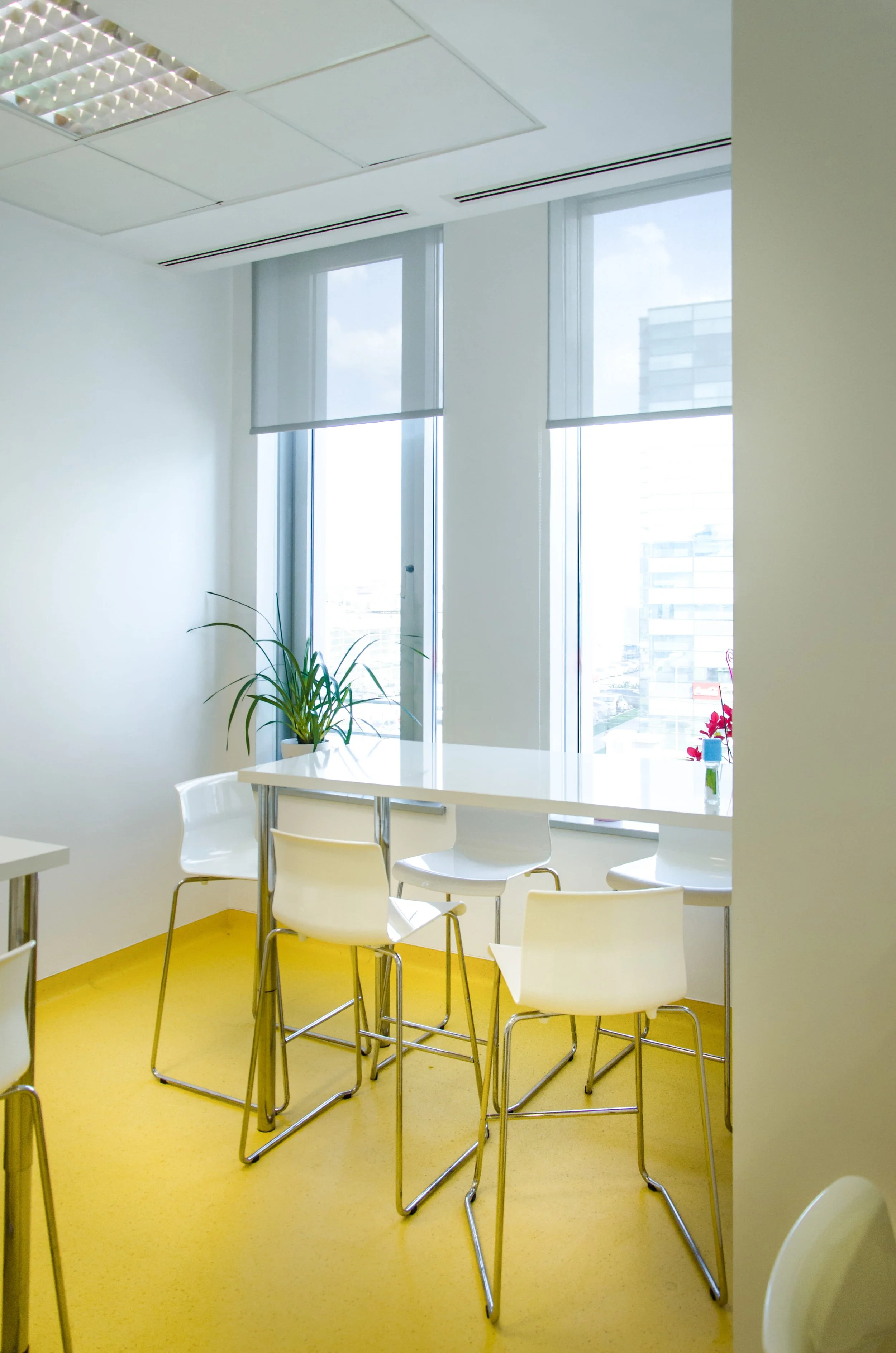 Bright office break room with a white table, six white chairs with metal legs, a potted plant on the table, large windows with partly lowered blinds, and a yellow floor.