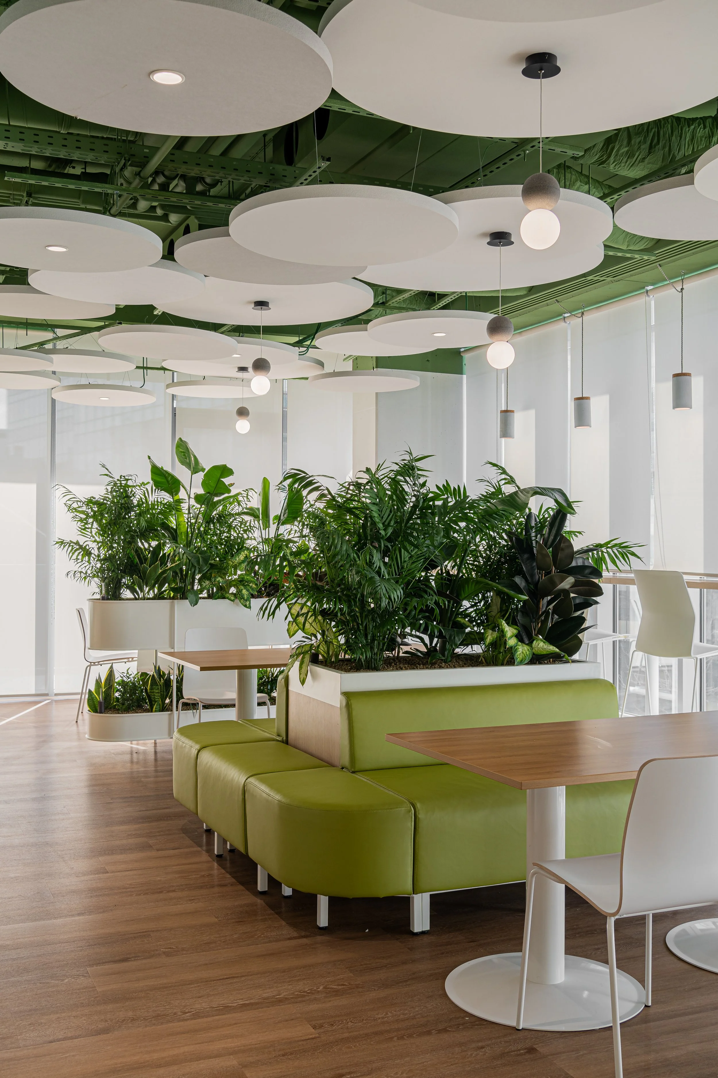 Modern indoor space with green booth seating, white chairs, wooden tables, and several potted plants. Ceiling features large white circular acoustic panels and small hanging lights. Bright natural light from large windows.