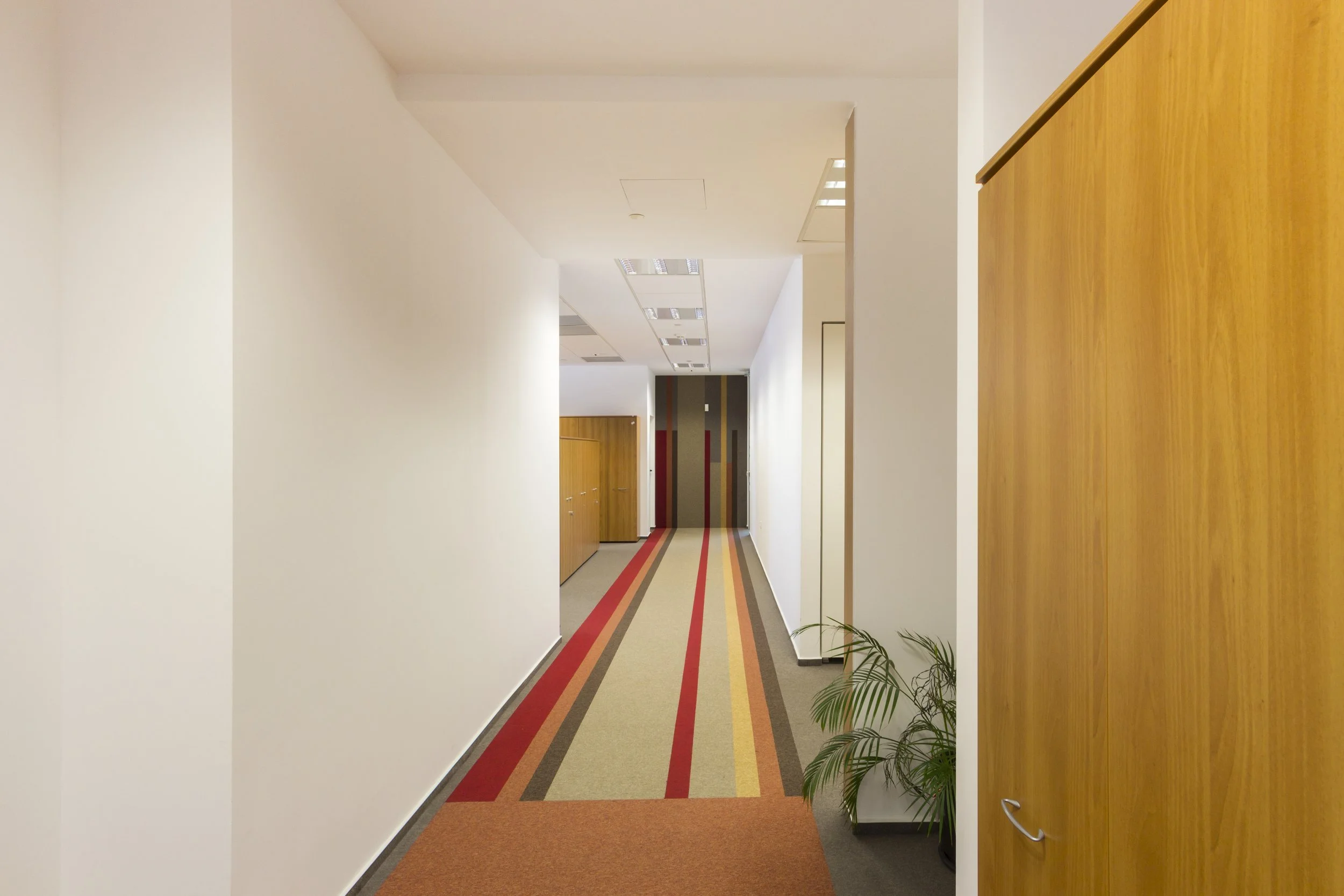 Empty hallway with colorful striped carpet, white walls, wooden cabinets, and a small green plant on the right.