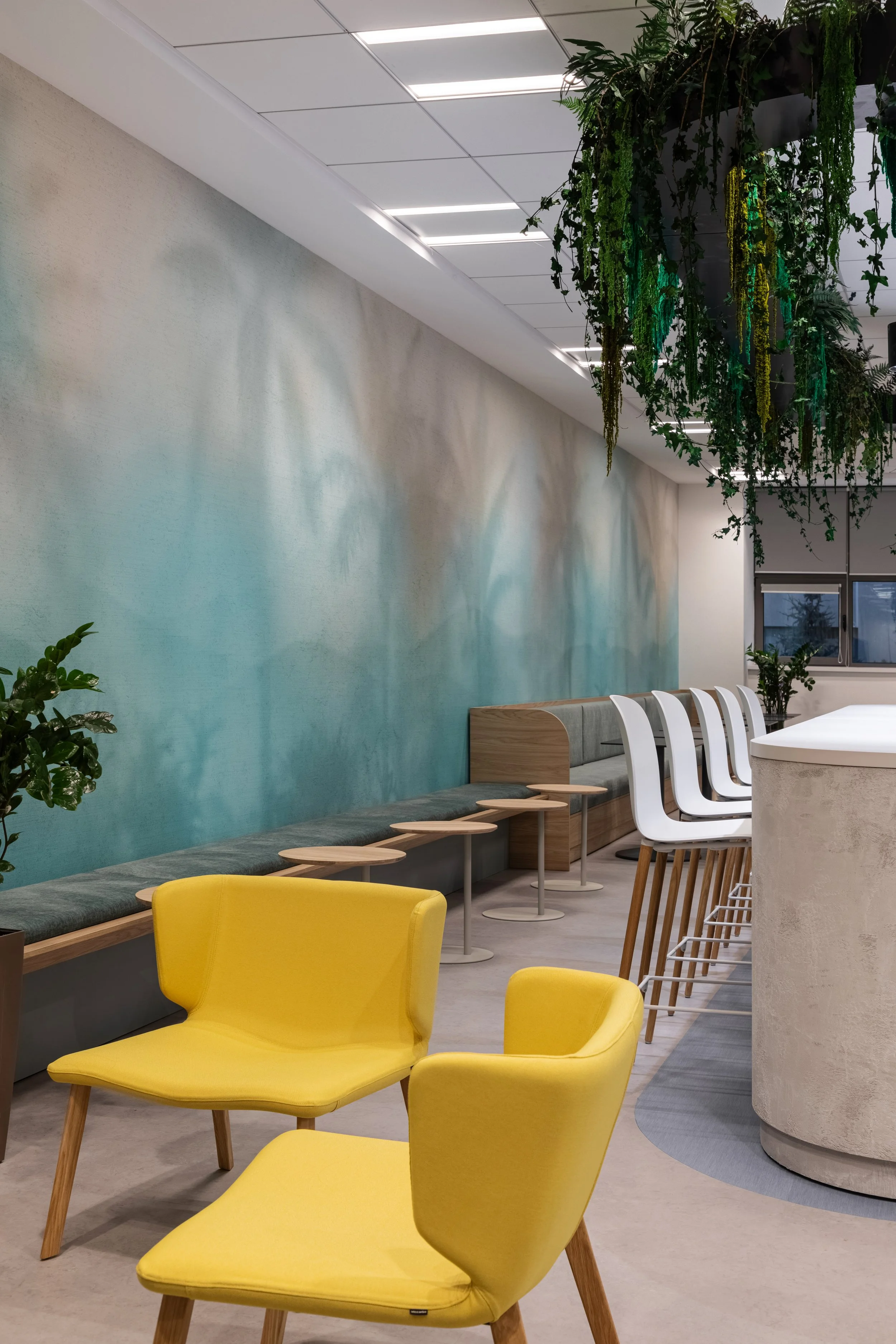 Modern indoor space with yellow chairs, white bar stools, a long bench with small tables, a dark green hanging plant, and a mural of an abstract sky on the wall.