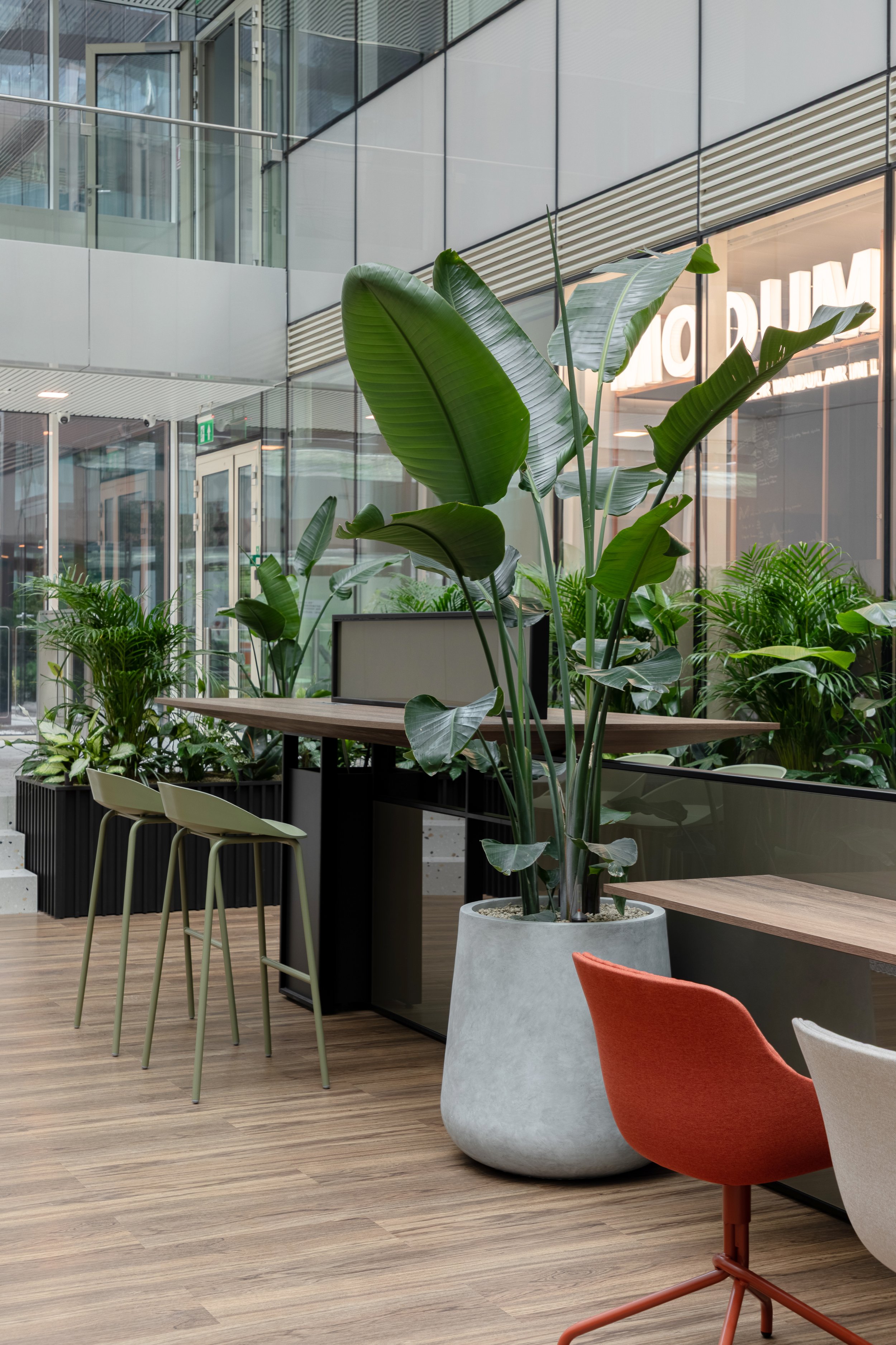 Indoor modern office lobby with large potted plant, wooden tables, and colorful chairs surrounded by glass walls and greenery.