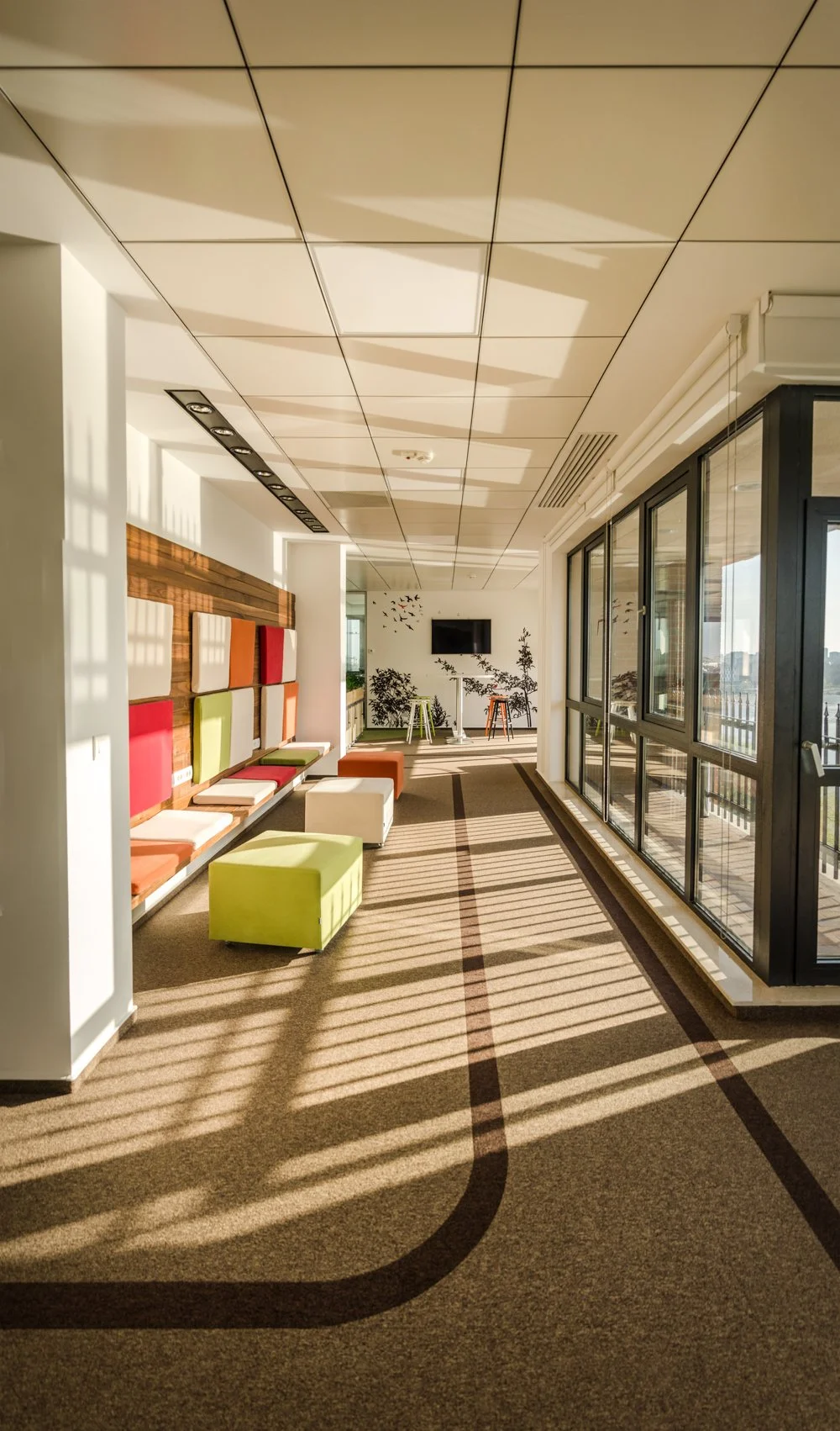 Brightly lit indoor lounge area with colorful chairs and ottomans, large windows casting shadows on the carpet, and a wall with decorative art and a TV in the background.