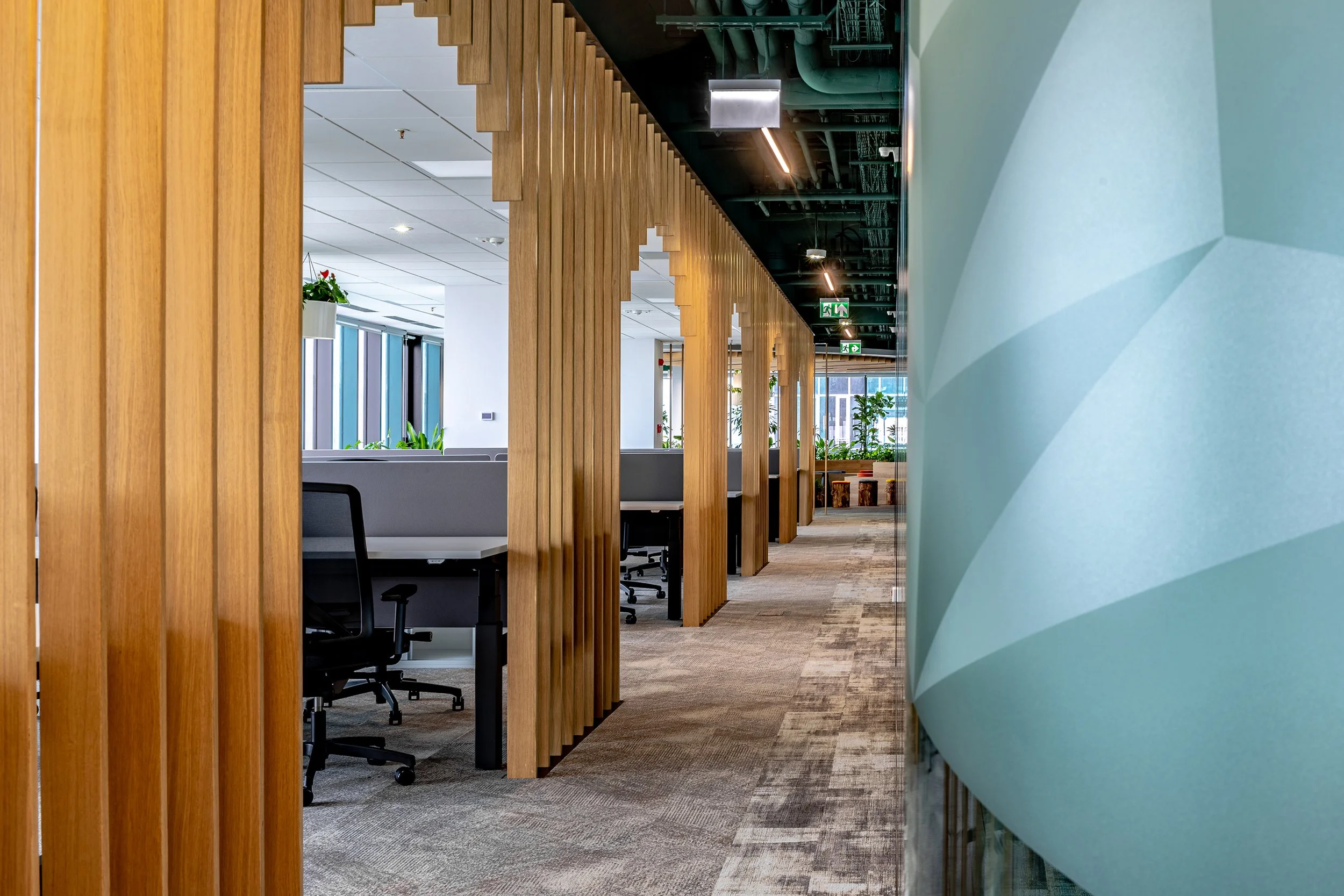 Modern office hallway with wooden slat partitions, black chairs, large windows with blinds, indoor plants, and a textured teal wall on the right.
