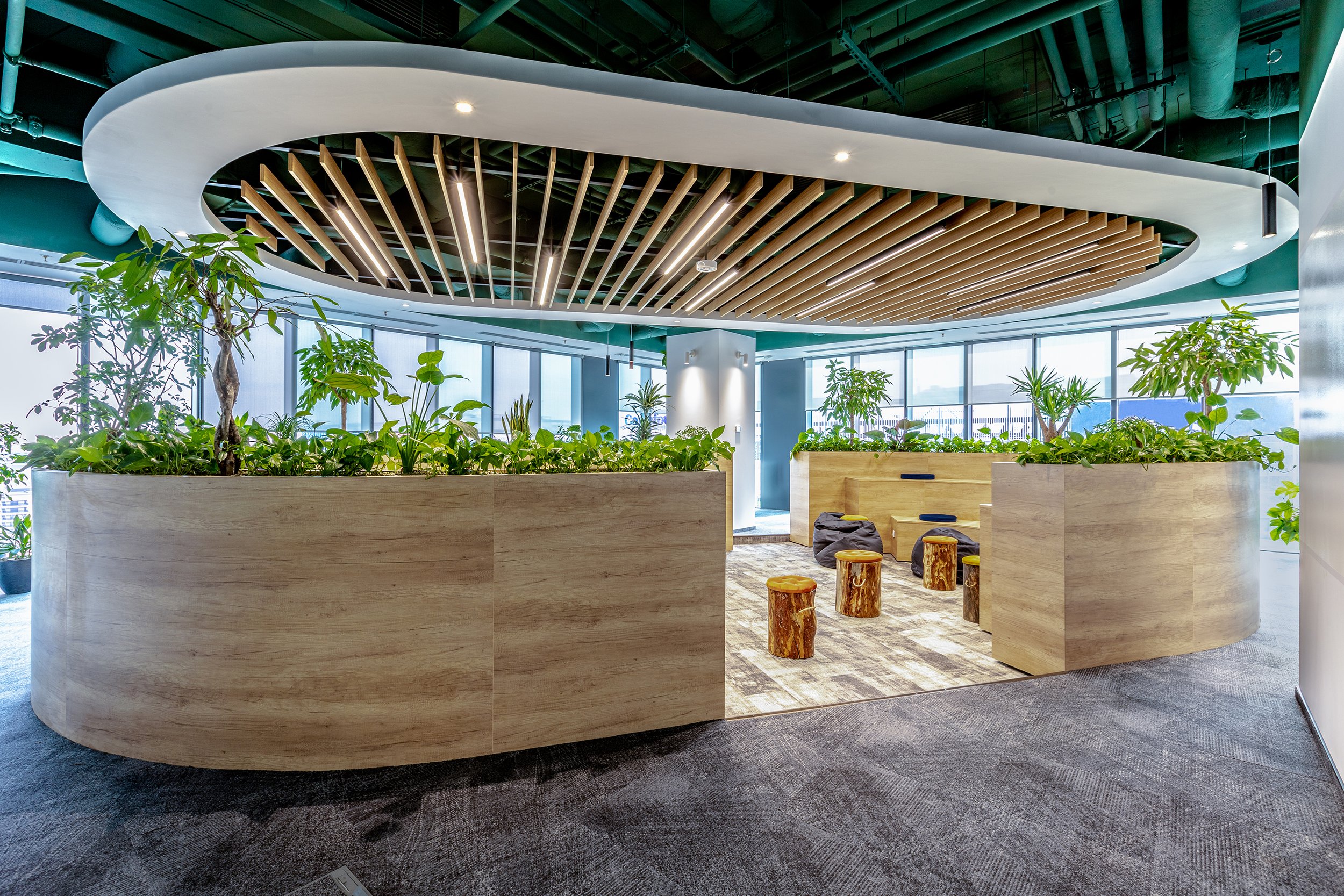 Modern office space with large wooden planter boxes filled with green plants, a unique circular ceiling design with wooden slats, and ample natural light from windows in the background.