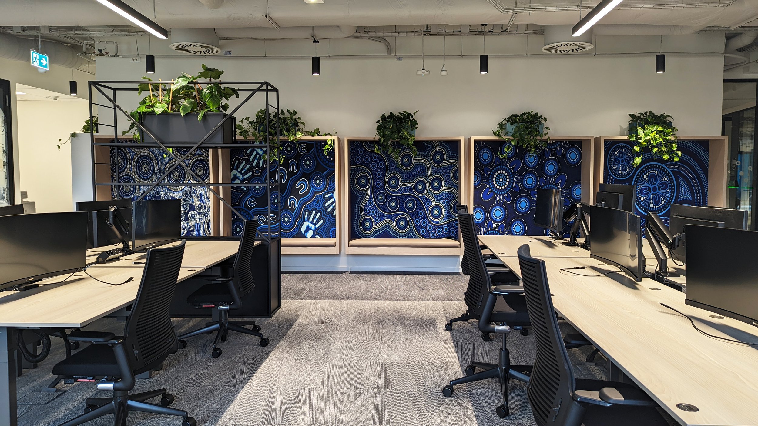 Modern office workspace with multiple desks, computer monitors, black office chairs, and decorative Aboriginal art on the wall, with green plants on a shelving unit.