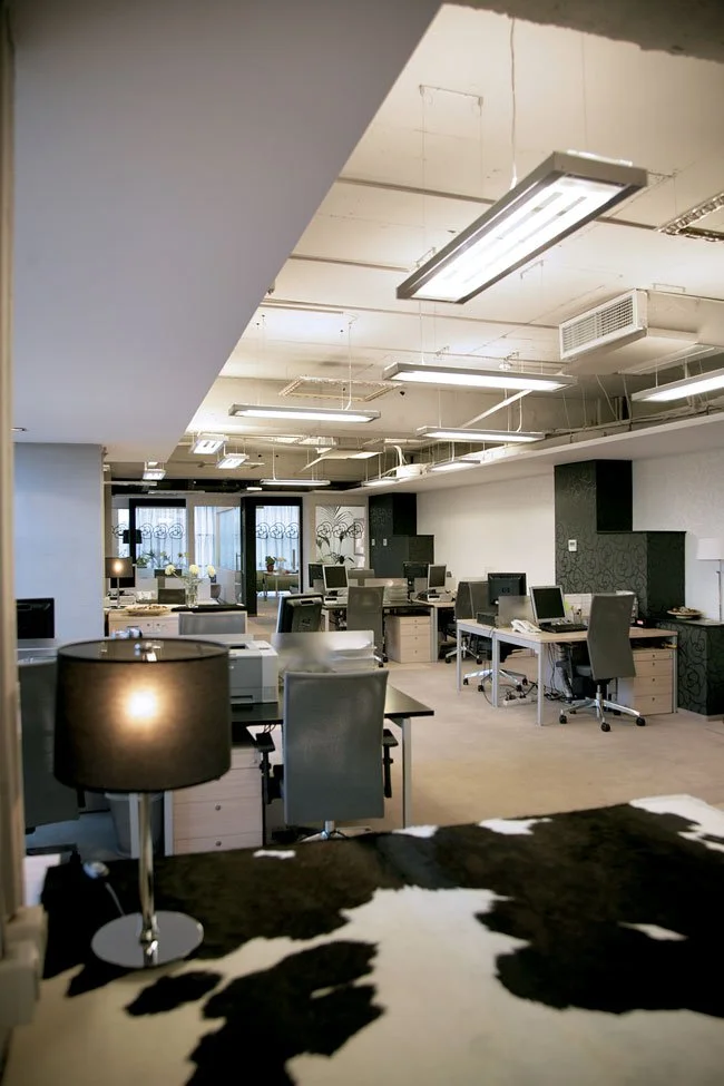 Modern office with desks, chairs, computers, and ceiling lights, seen from a room with a black-and-white cowhide rug.