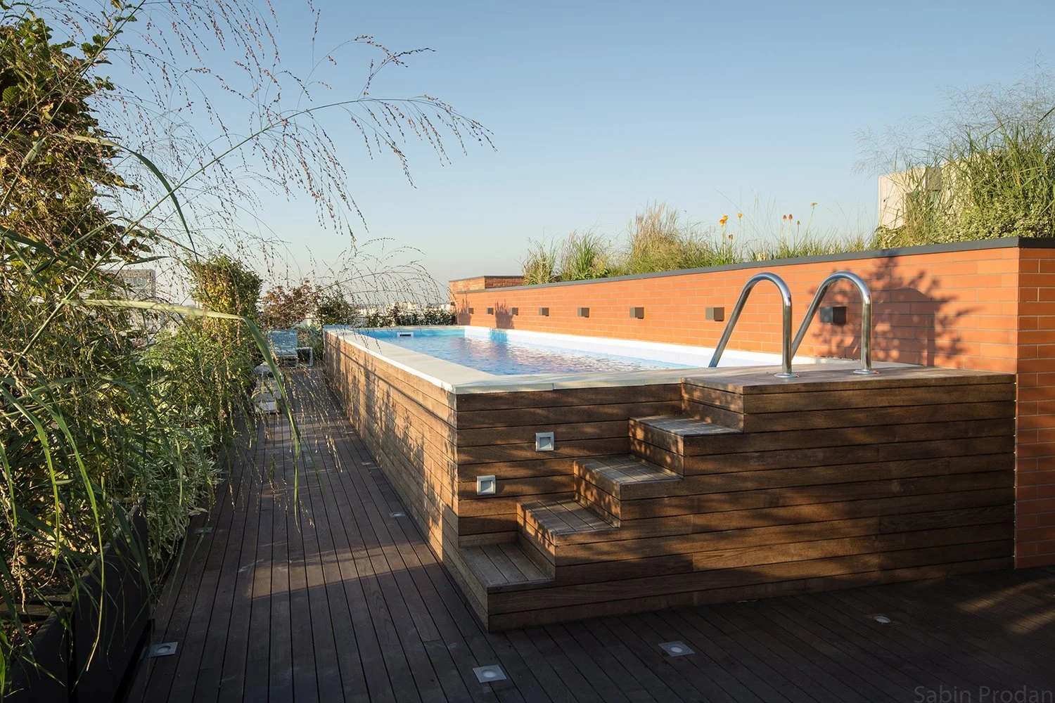 An outdoor rooftop pool with metal ladders, surrounded by wooden decking and tall plants, under a clear blue sky.