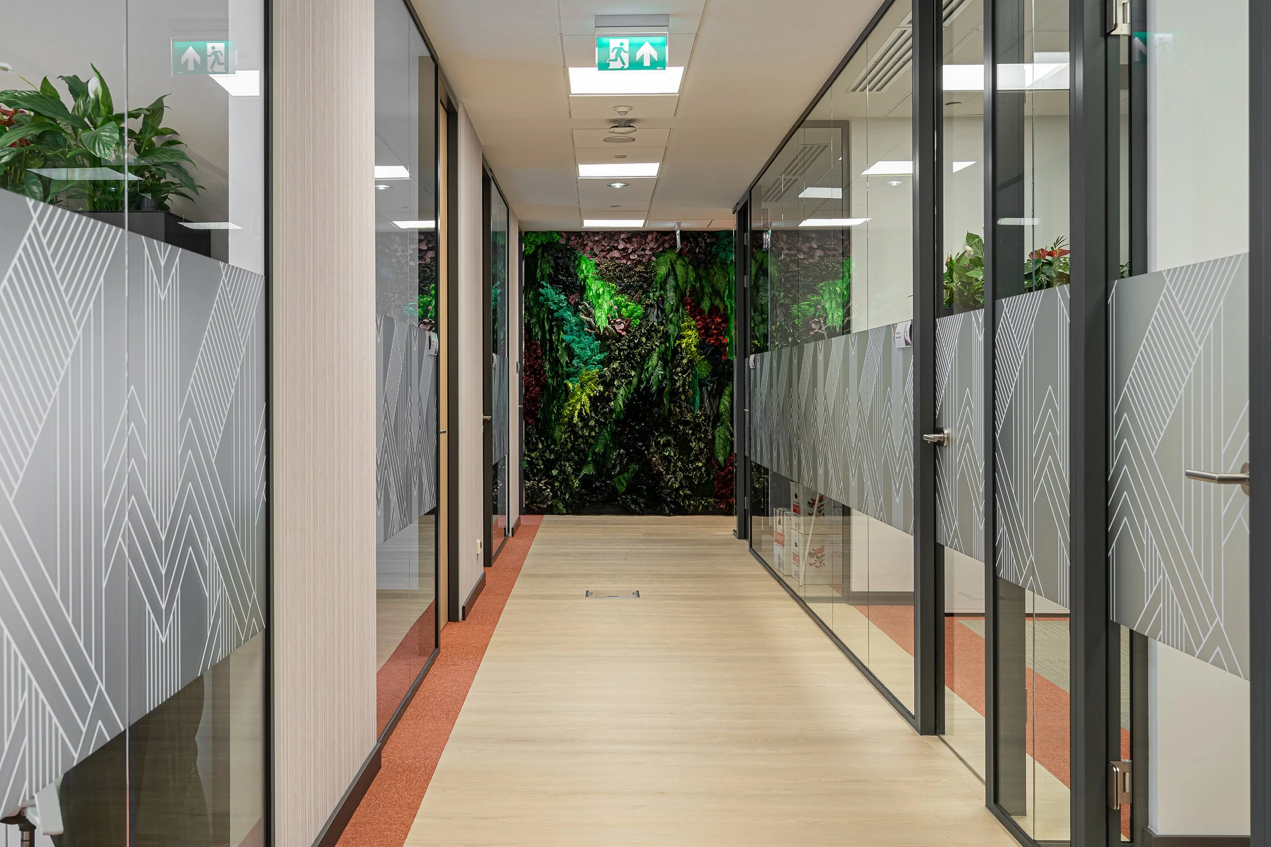 An office hallway with glass partitions on both sides, a green plant on the left, and a colorful green wall at the end of the corridor. Fluorescent ceiling lights and emergency exit signs are visible.