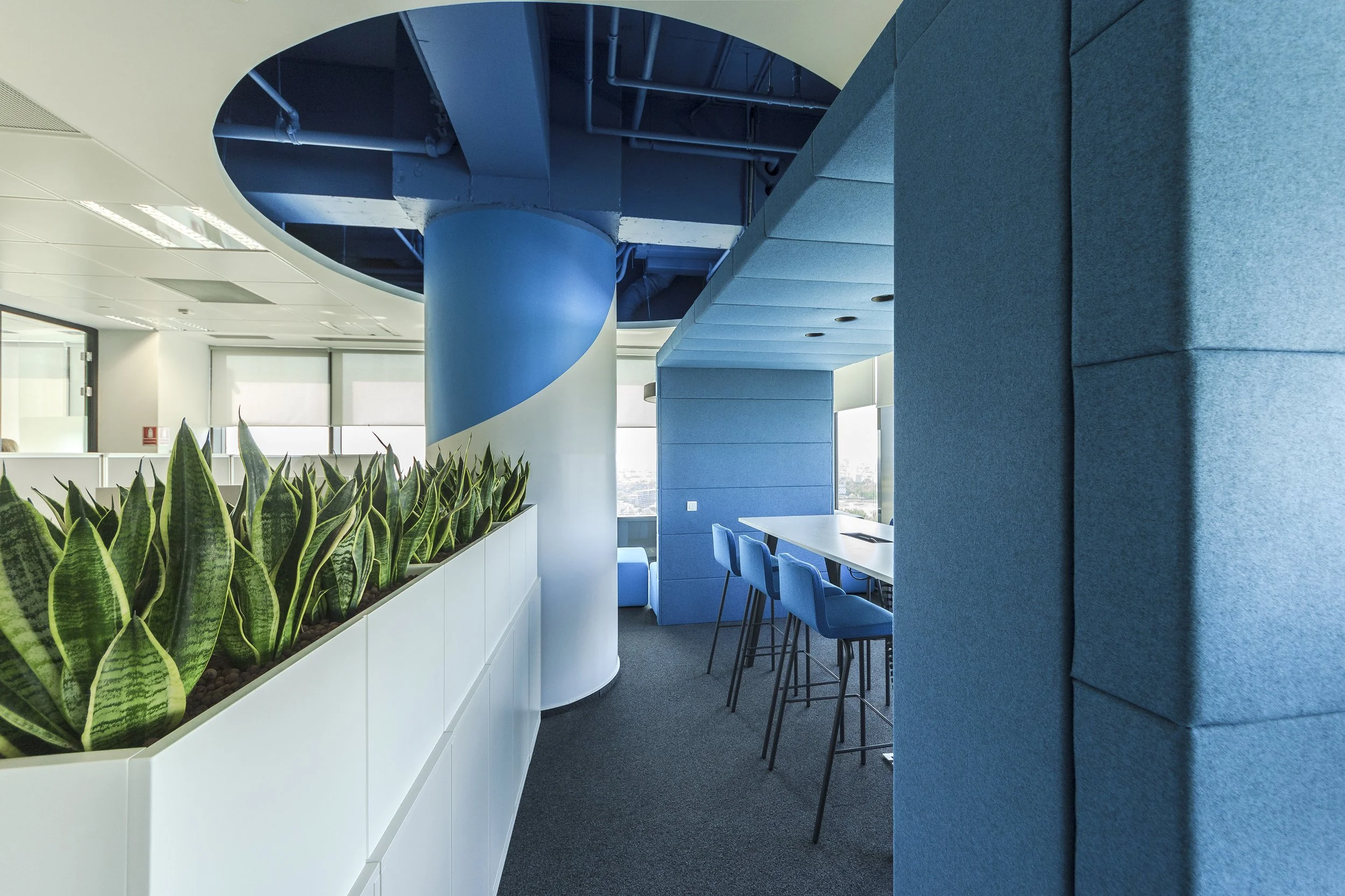 Modern office space with blue chairs and a white table near large windows, decorated with green indoor plants and featuring a blue spiral staircase.