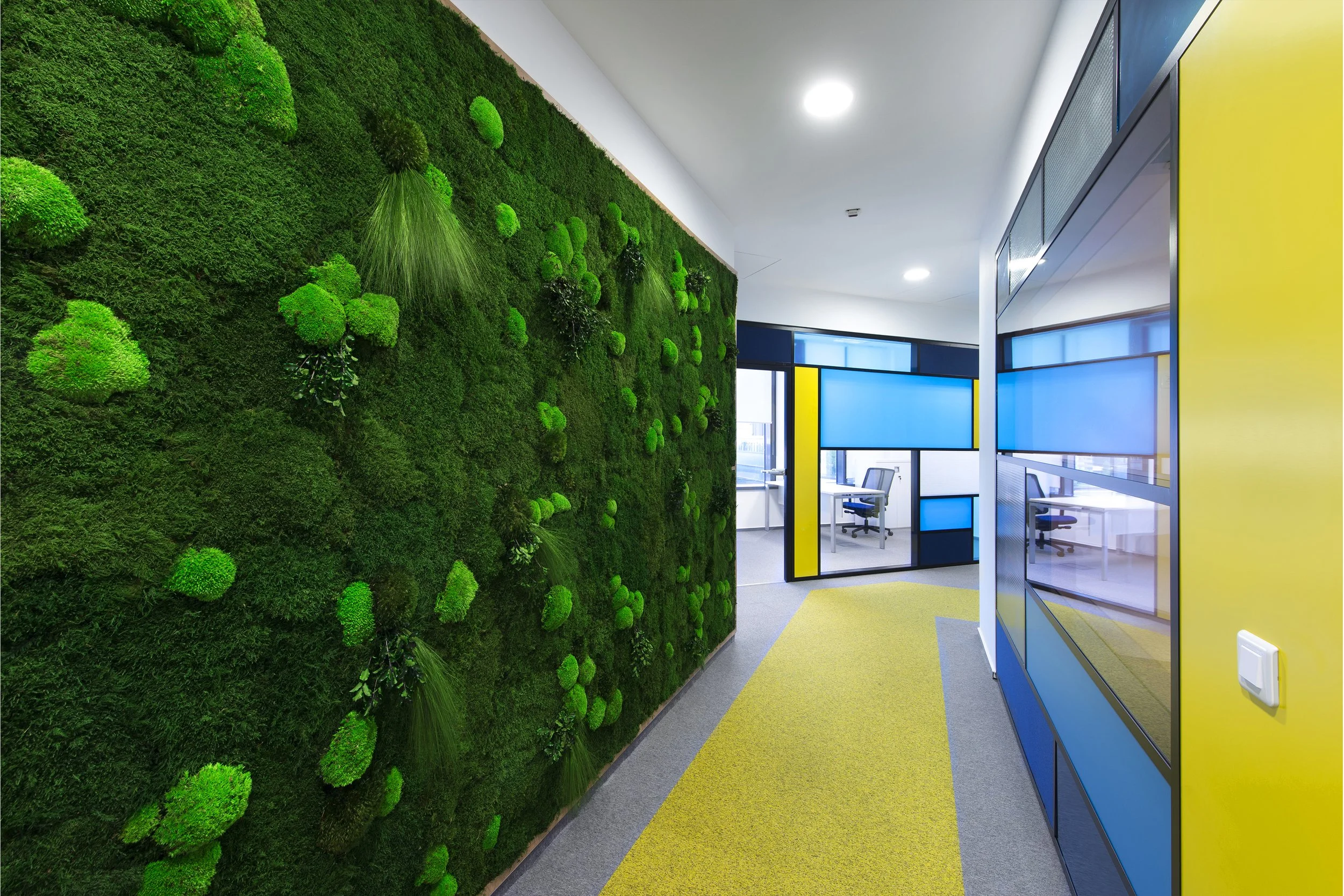 Modern office corridor with a green moss wall on the left and blue, yellow, and black glass partitions on the right, leading to an office space with desks and chairs.
