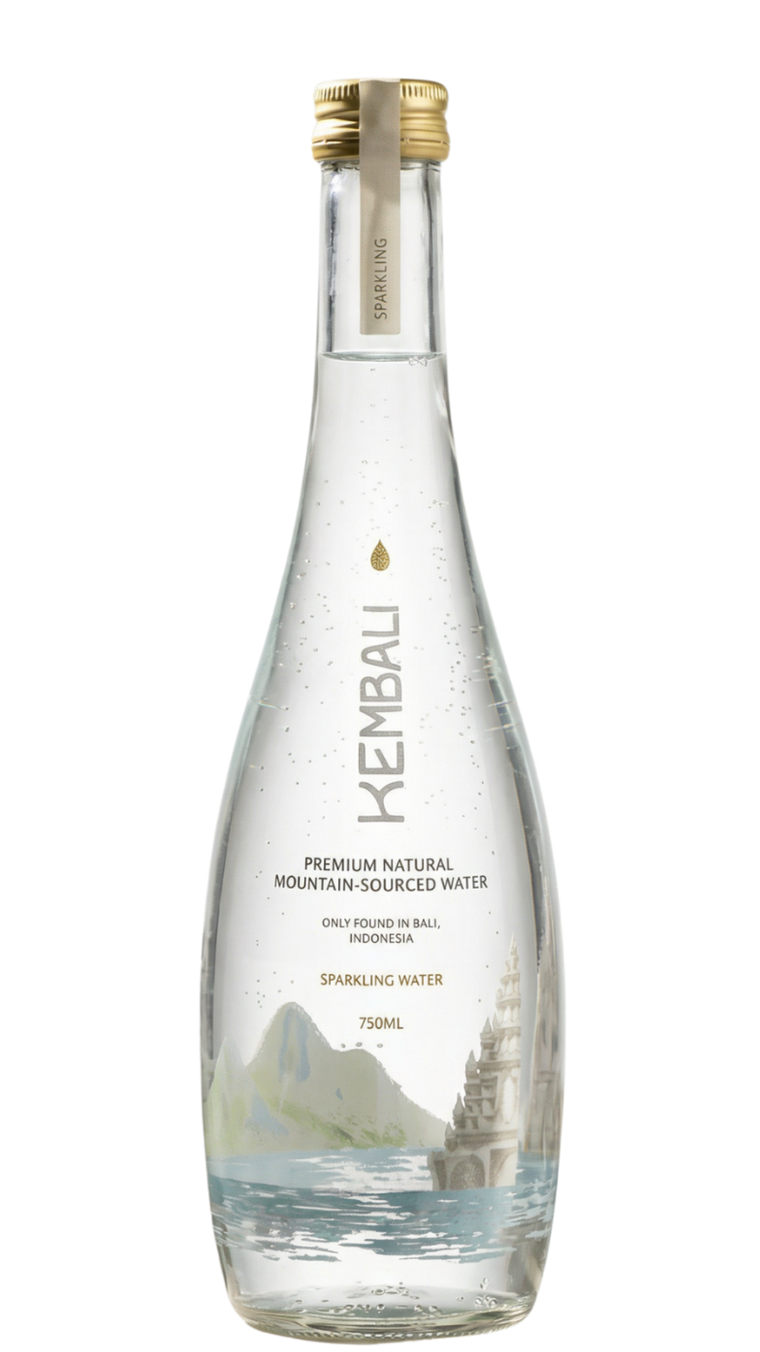 Sparkling Water 770 mL