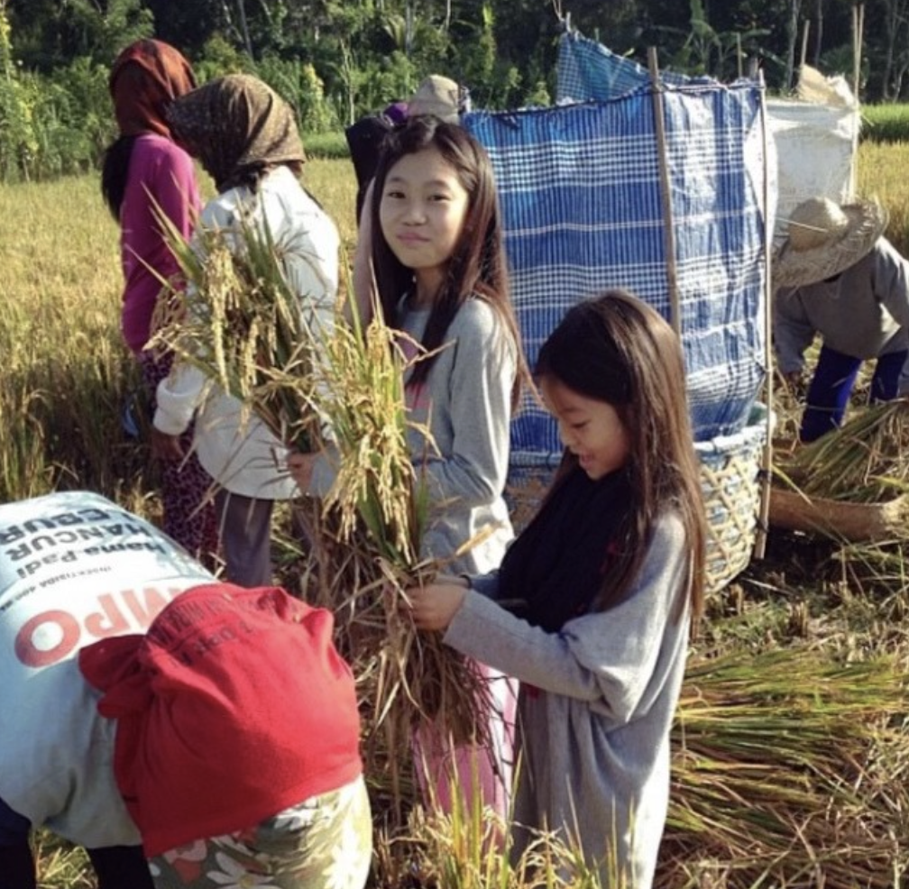 Helping farmers in the fields