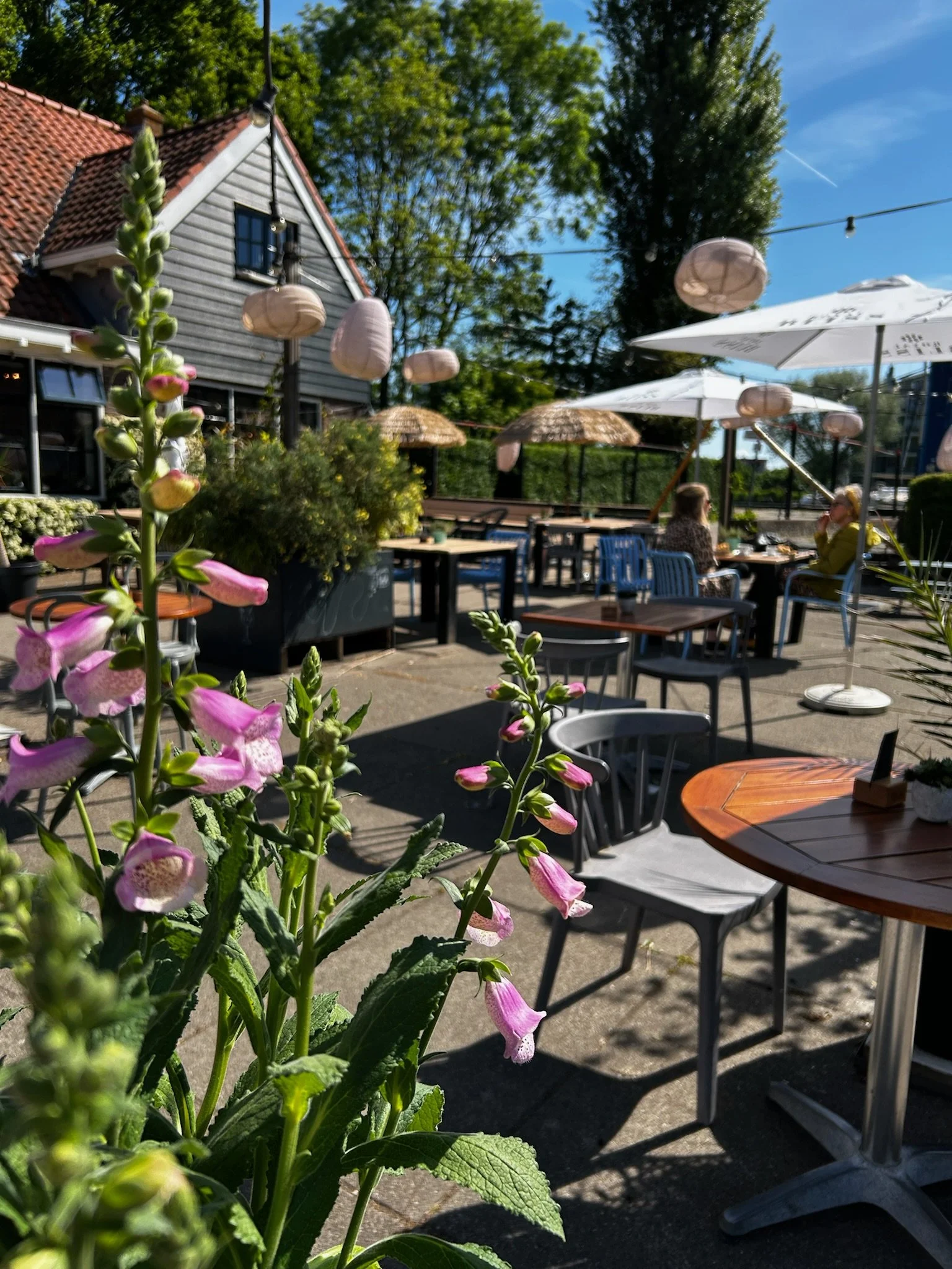 Zomer terras